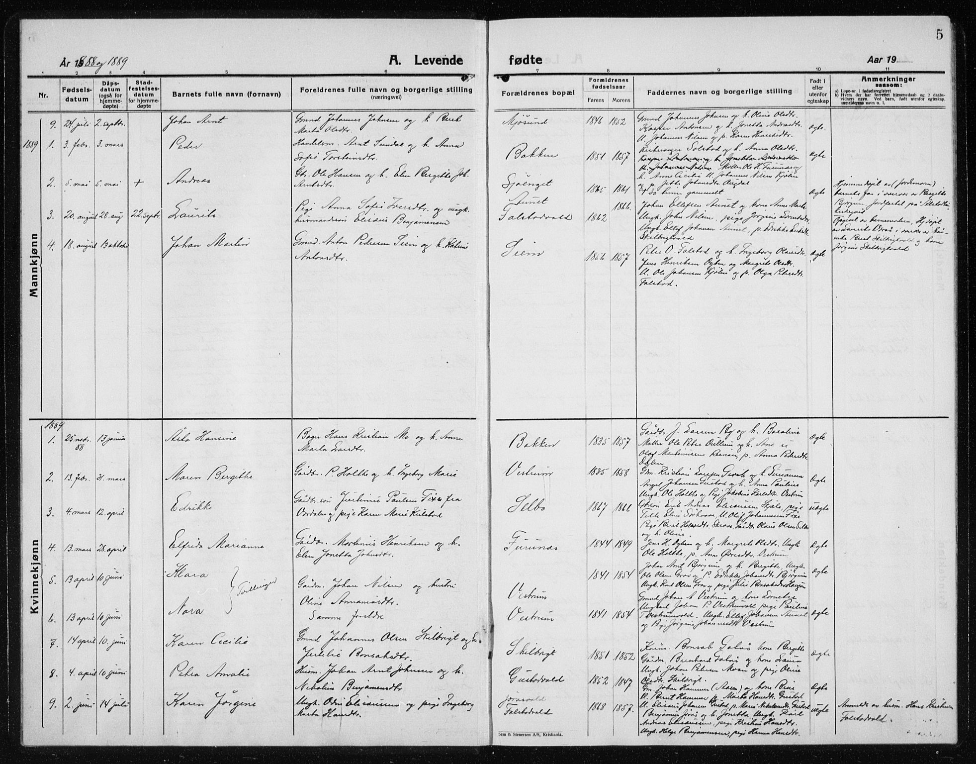 Ministerialprotokoller, klokkerbøker og fødselsregistre - Nord-Trøndelag, SAT/A-1458/719/L0180: Parish register (copy) no. 719C01, 1878-1940, p. 5