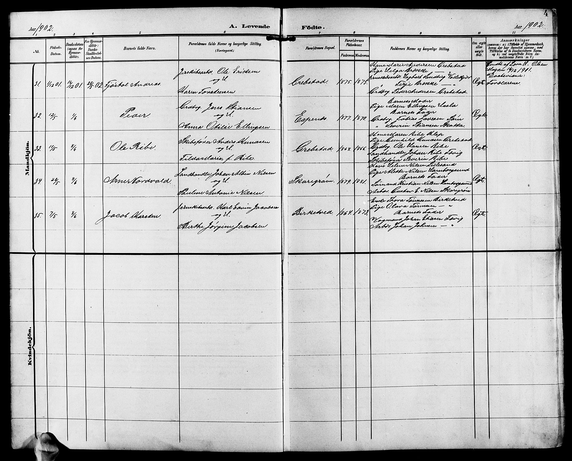 Fjære sokneprestkontor, SAK/1111-0011/F/Fb/L0012: Parish register (copy) no. B 12, 1902-1925, p. 4