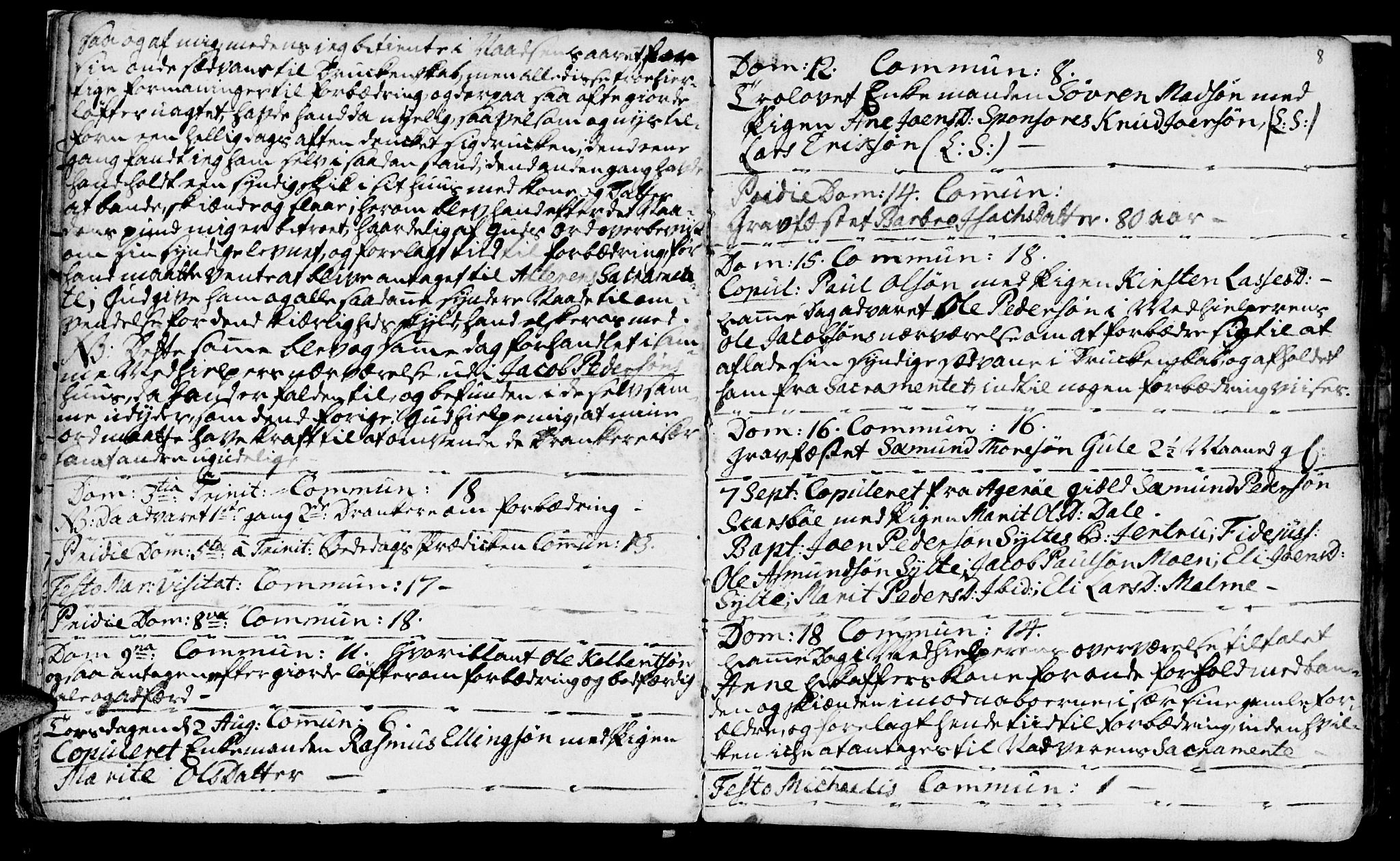 Ministerialprotokoller, klokkerbøker og fødselsregistre - Møre og Romsdal, SAT/A-1454/566/L0760: Parish register (official) no. 566A01, 1739-1766, p. 8
