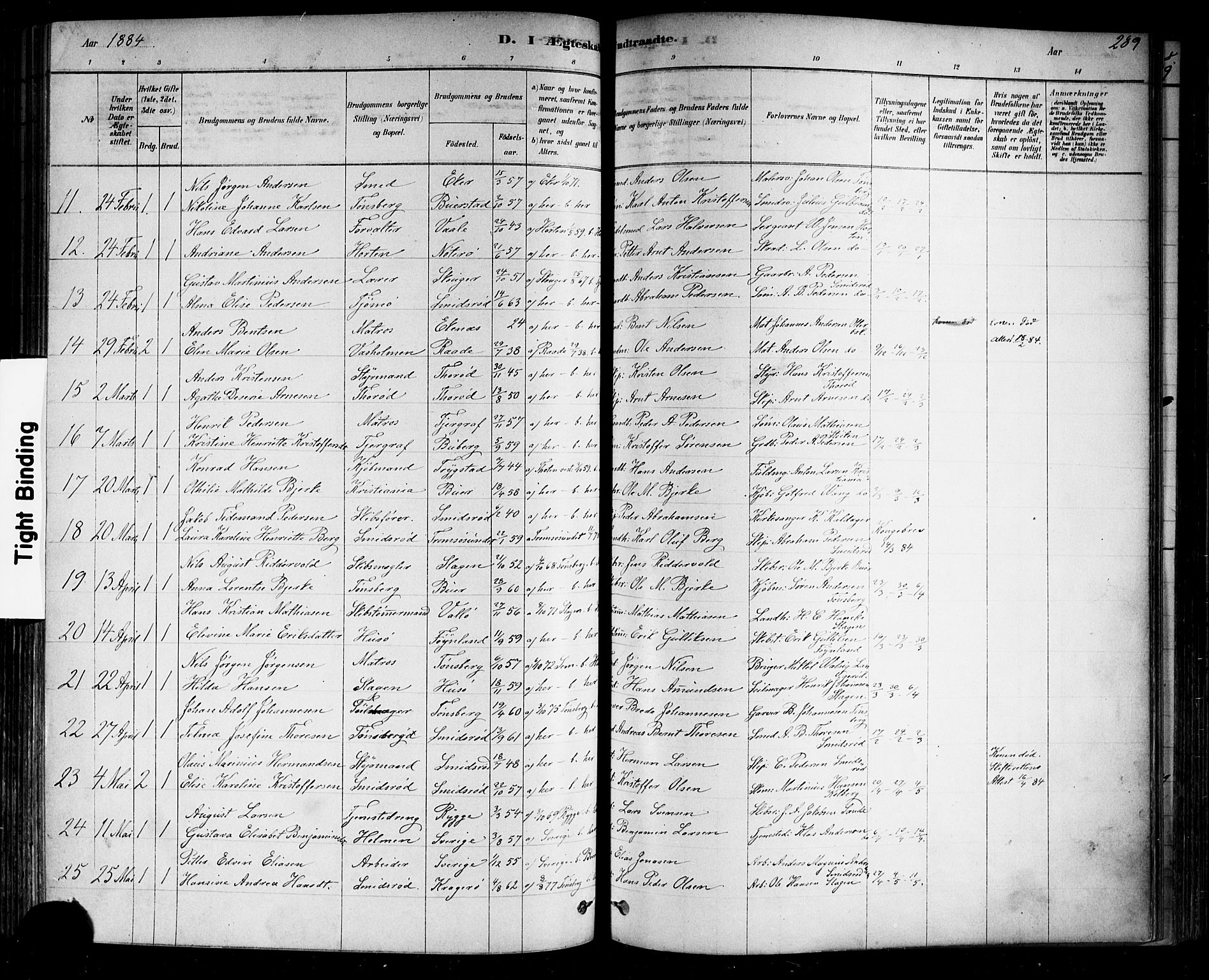 Nøtterøy kirkebøker, AV/SAKO-A-354/F/Fa/L0008: Parish register (official) no. I 8, 1878-1893, p. 289