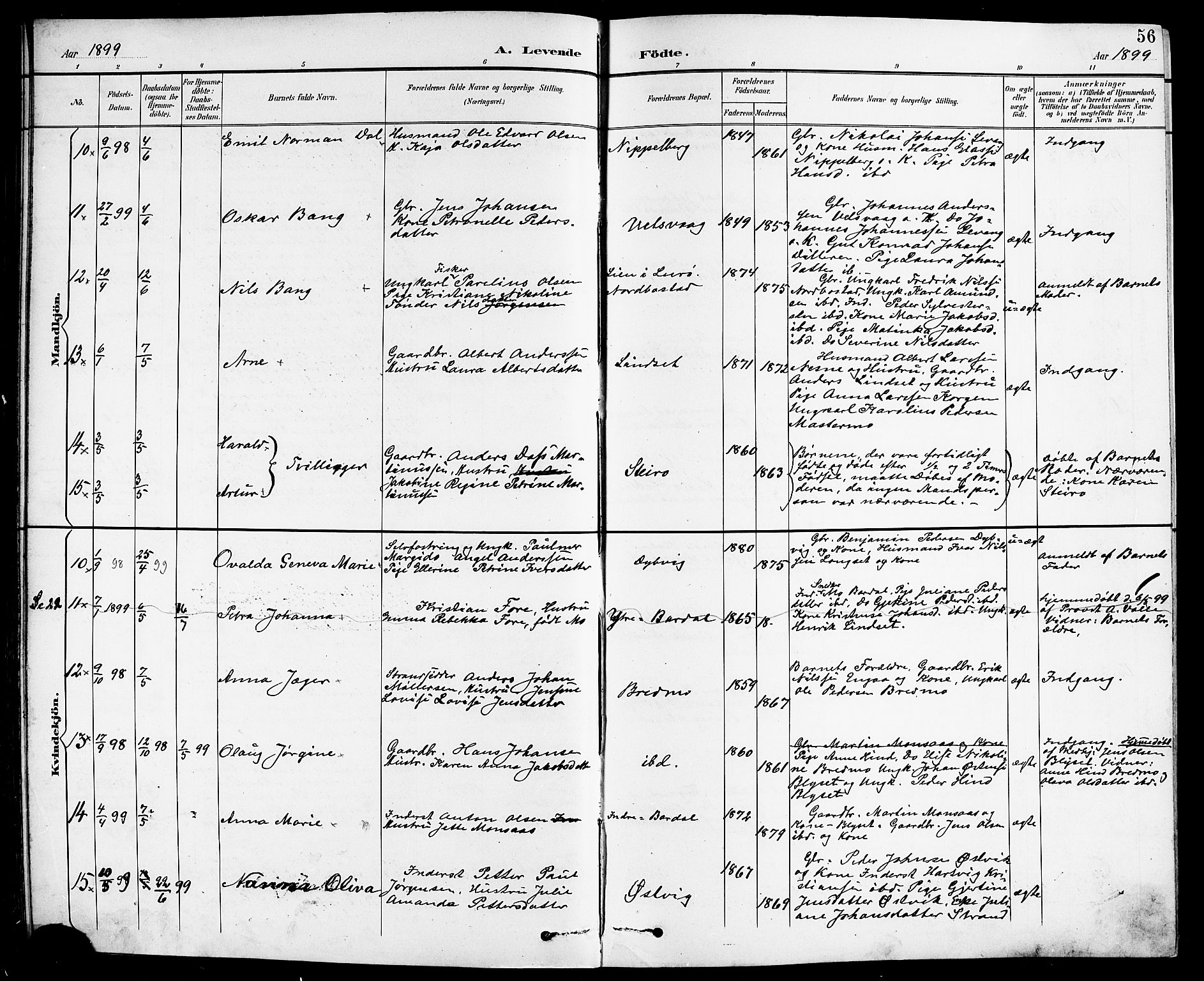 Ministerialprotokoller, klokkerbøker og fødselsregistre - Nordland, AV/SAT-A-1459/838/L0559: Parish register (copy) no. 838C06, 1893-1910, p. 56