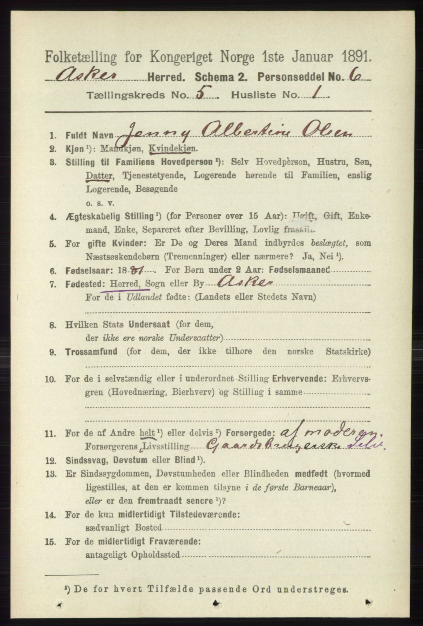 RA, 1891 census for 0220 Asker, 1891, p. 3674