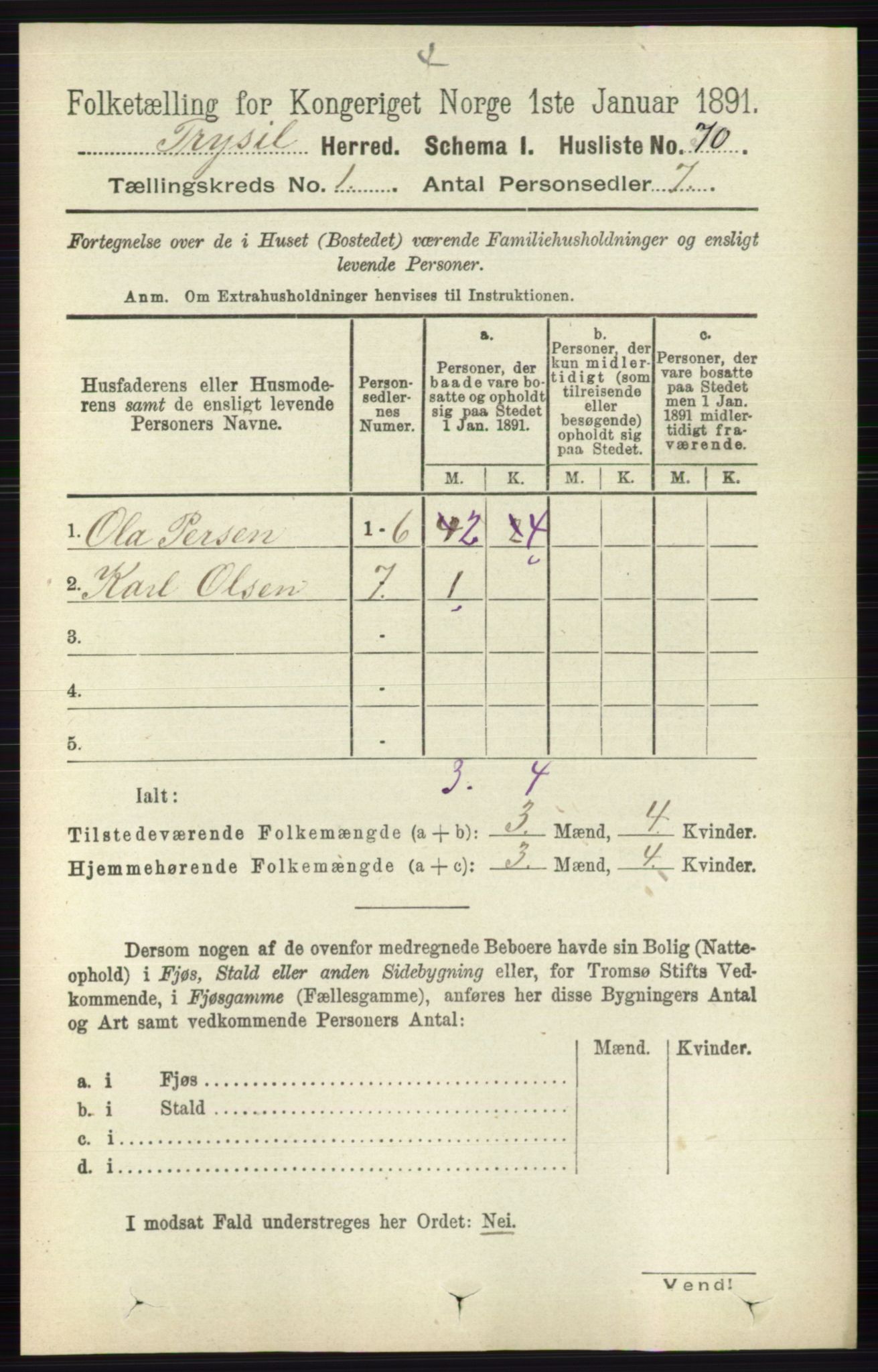 RA, 1891 census for 0428 Trysil, 1891, p. 101