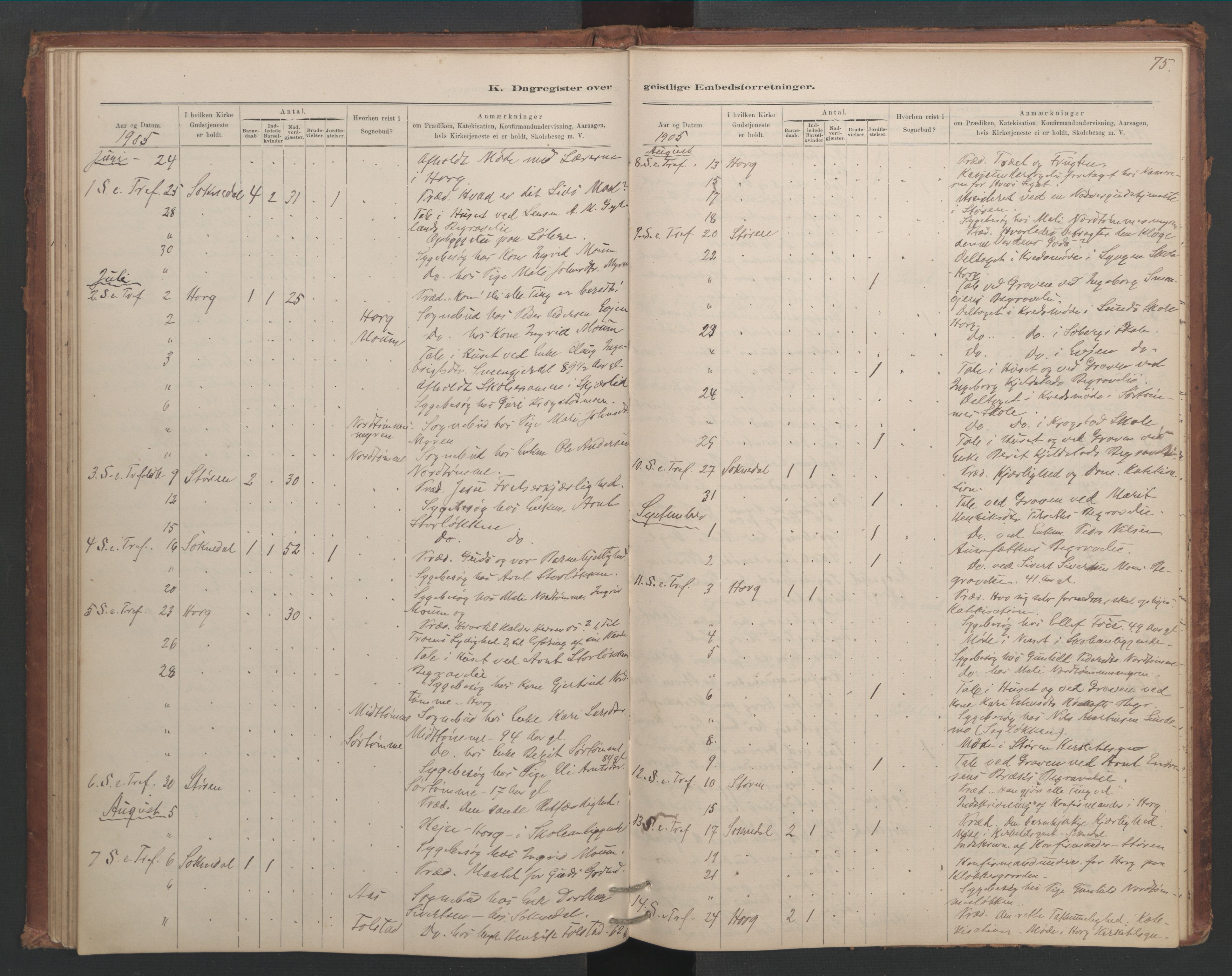 Ministerialprotokoller, klokkerbøker og fødselsregistre - Sør-Trøndelag, SAT/A-1456/687/L1012: Diary records no. 687B01, 1887-1914, p. 75