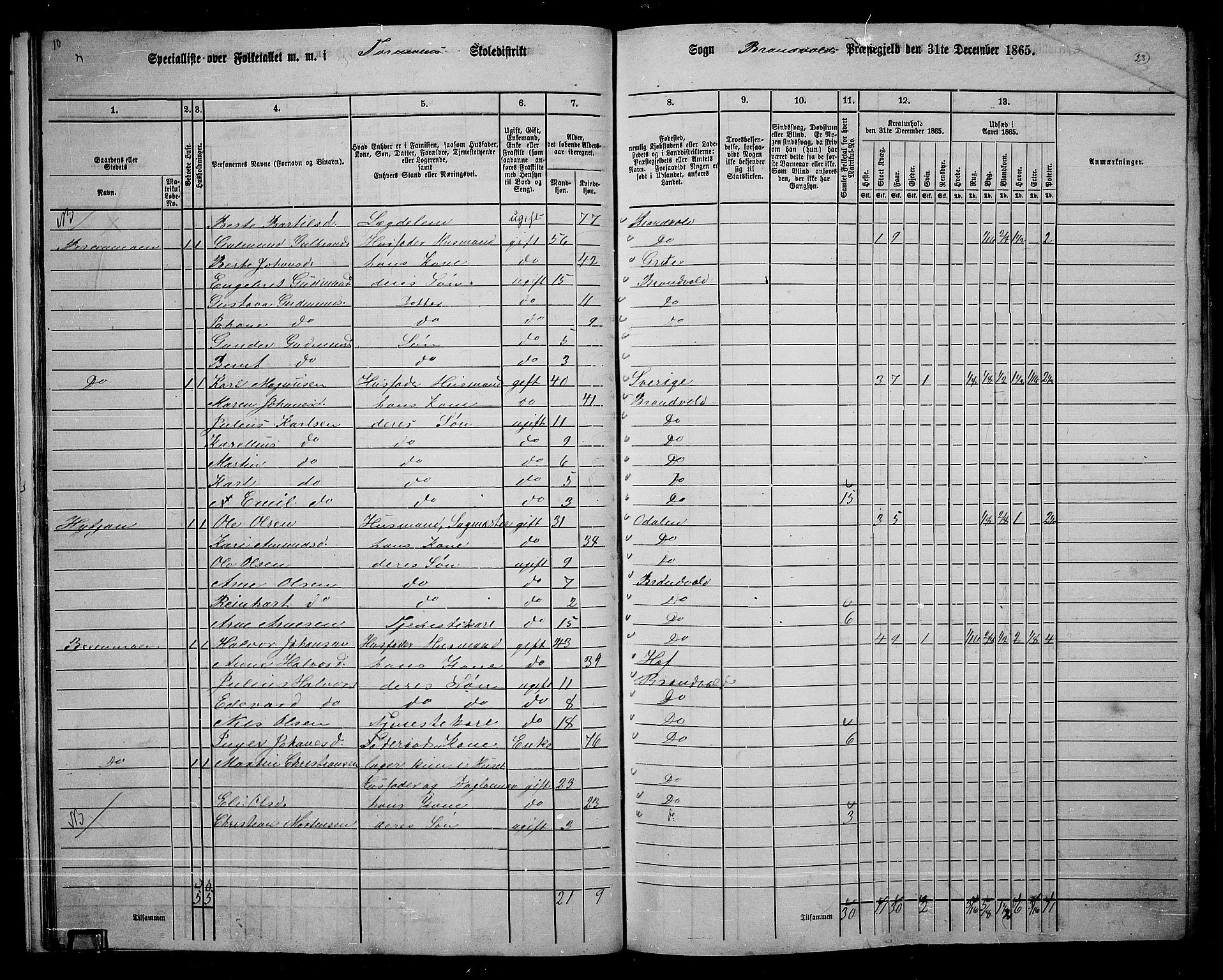 RA, 1865 census for Brandval, 1865, p. 22