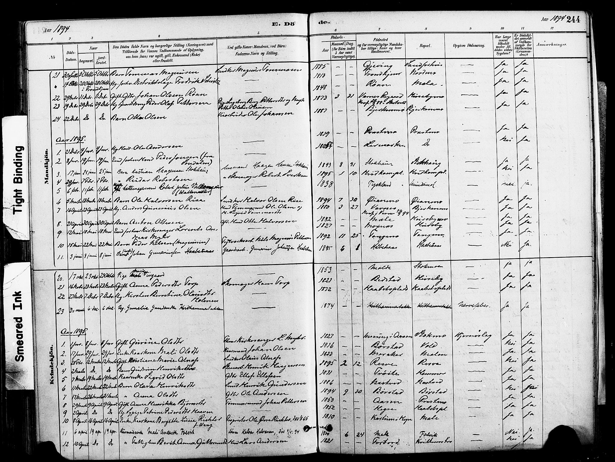 Ministerialprotokoller, klokkerbøker og fødselsregistre - Nord-Trøndelag, SAT/A-1458/709/L0077: Parish register (official) no. 709A17, 1880-1895, p. 244