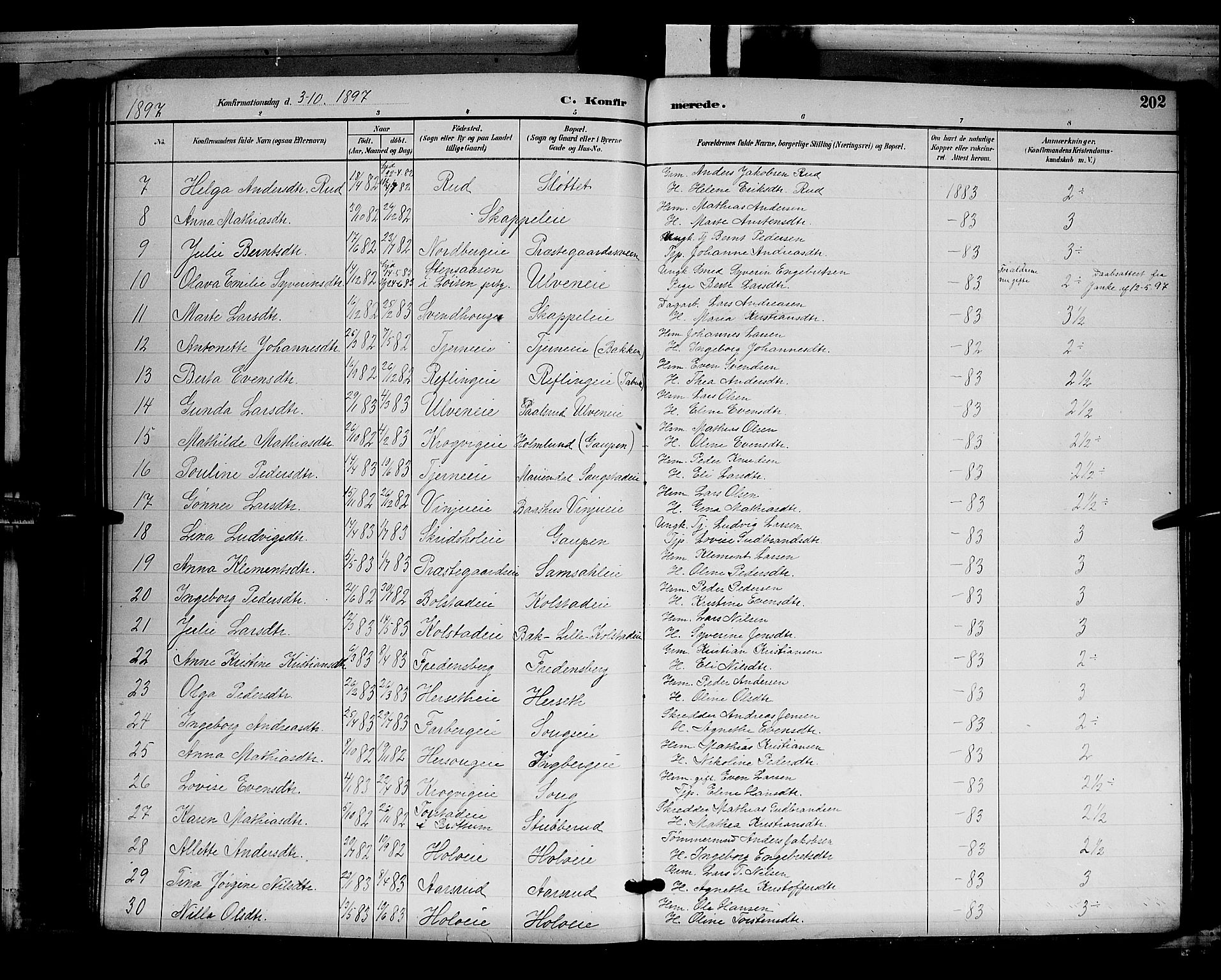 Ringsaker prestekontor, AV/SAH-PREST-014/L/La/L0012: Parish register (copy) no. 12, 1891-1902, p. 202