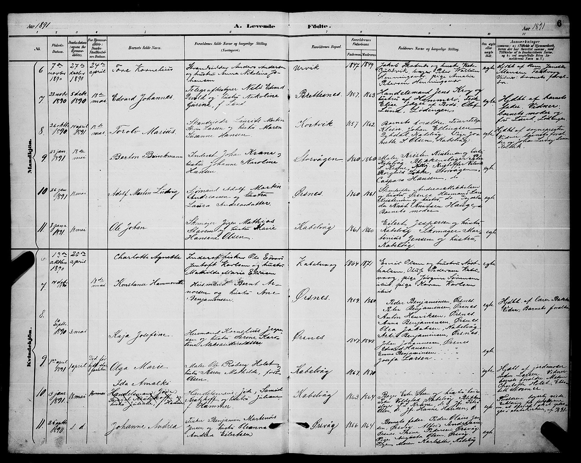 Ministerialprotokoller, klokkerbøker og fødselsregistre - Nordland, AV/SAT-A-1459/874/L1077: Parish register (copy) no. 874C06, 1891-1900, p. 6