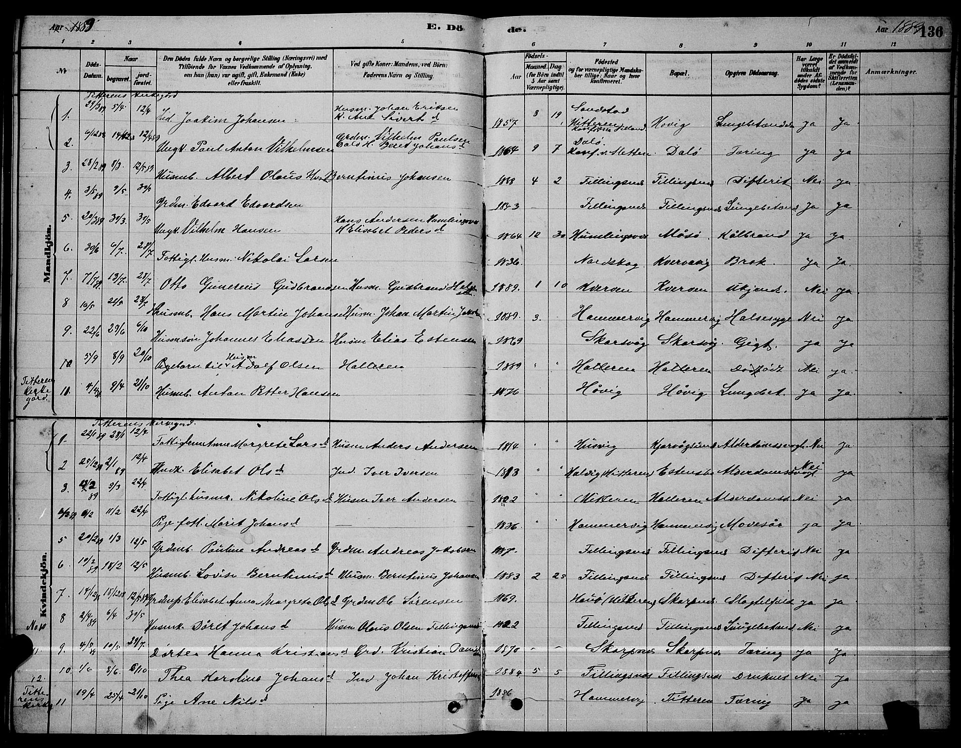 Ministerialprotokoller, klokkerbøker og fødselsregistre - Sør-Trøndelag, AV/SAT-A-1456/641/L0597: Parish register (copy) no. 641C01, 1878-1893, p. 136