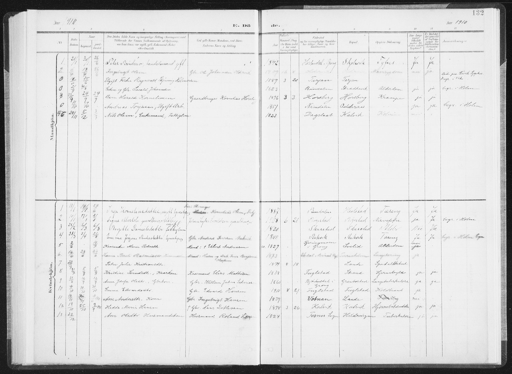 Ministerialprotokoller, klokkerbøker og fødselsregistre - Nordland, AV/SAT-A-1459/810/L0153: Parish register (official) no. 810A12, 1899-1914, p. 132