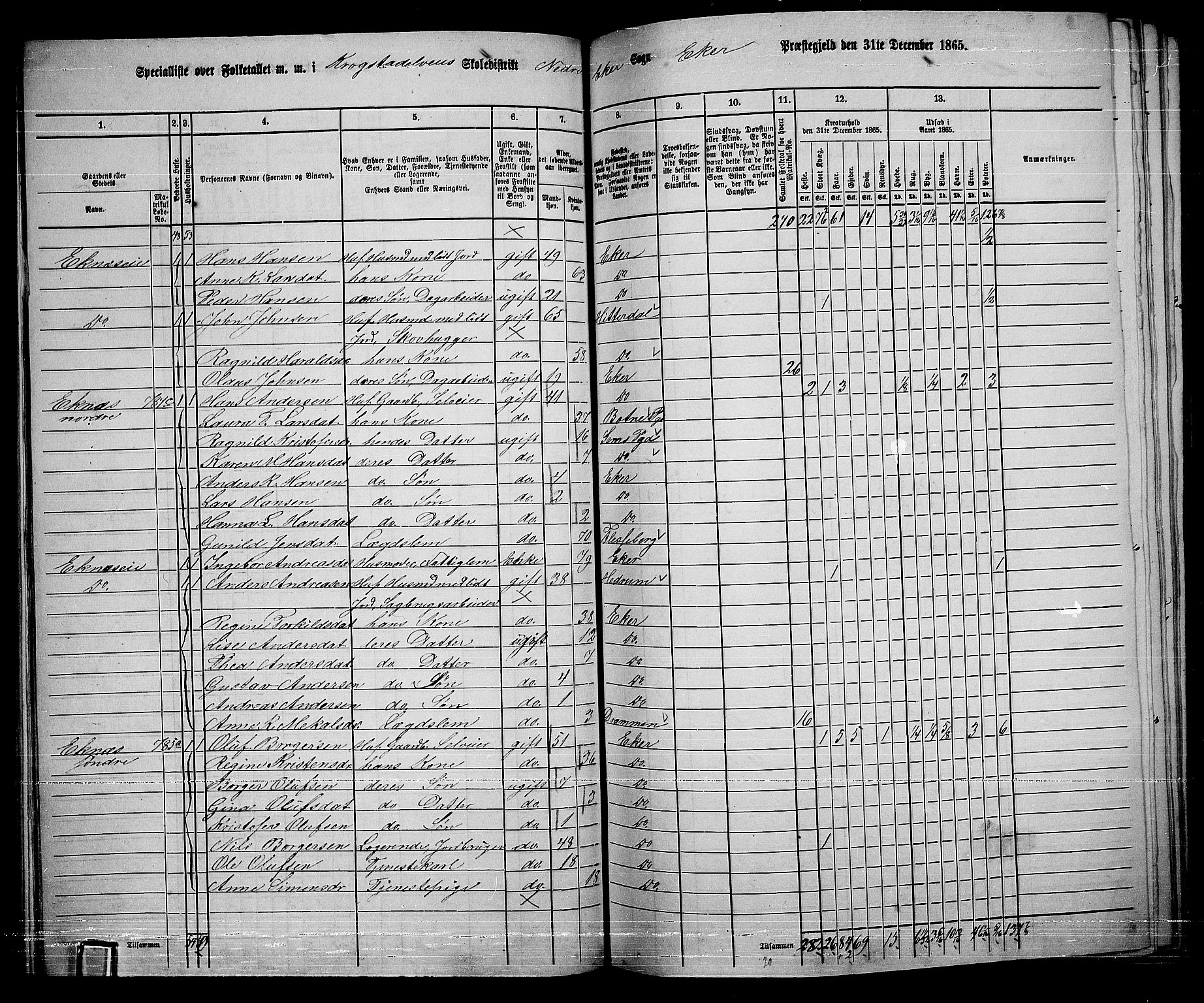 RA, 1865 census for Eiker, 1865, p. 331