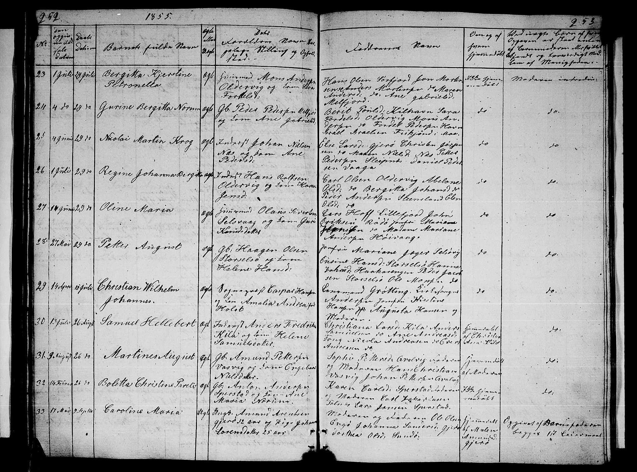 Ministerialprotokoller, klokkerbøker og fødselsregistre - Nordland, SAT/A-1459/841/L0618: Parish register (copy) no. 841C02, 1833-1855, p. 252-253