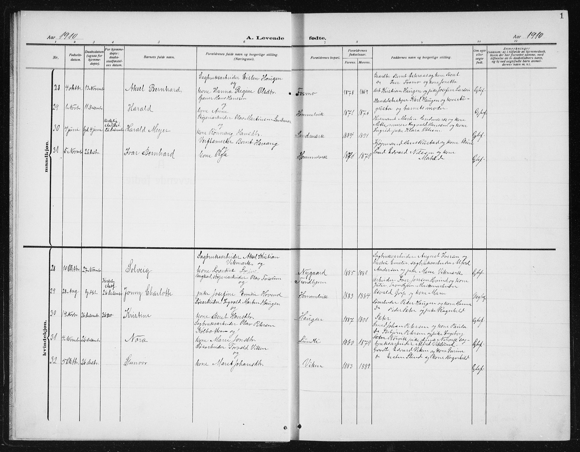 Ministerialprotokoller, klokkerbøker og fødselsregistre - Sør-Trøndelag, AV/SAT-A-1456/617/L0431: Parish register (copy) no. 617C02, 1910-1936, p. 1