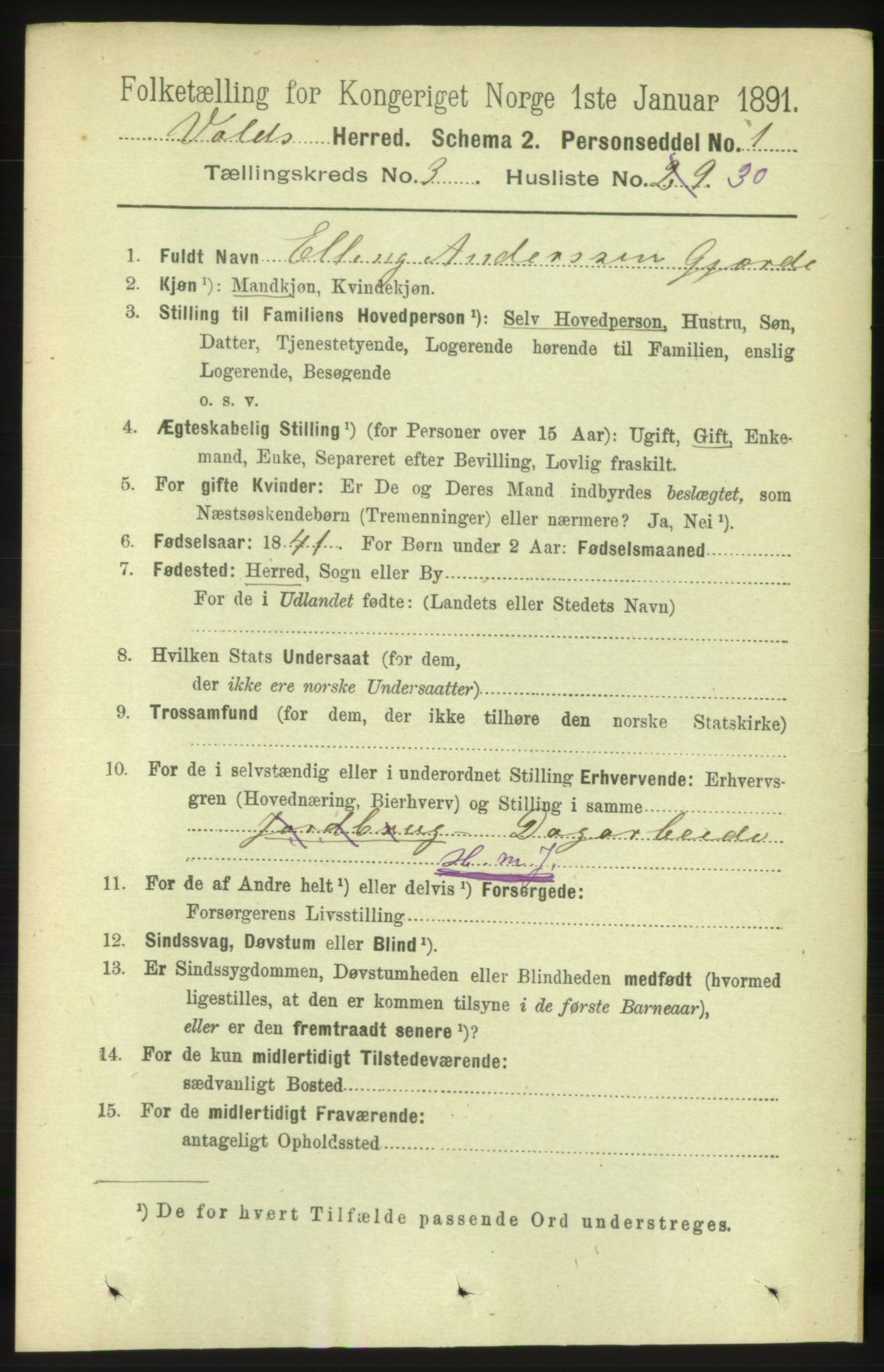 RA, 1891 census for 1537 Voll, 1891, p. 1141