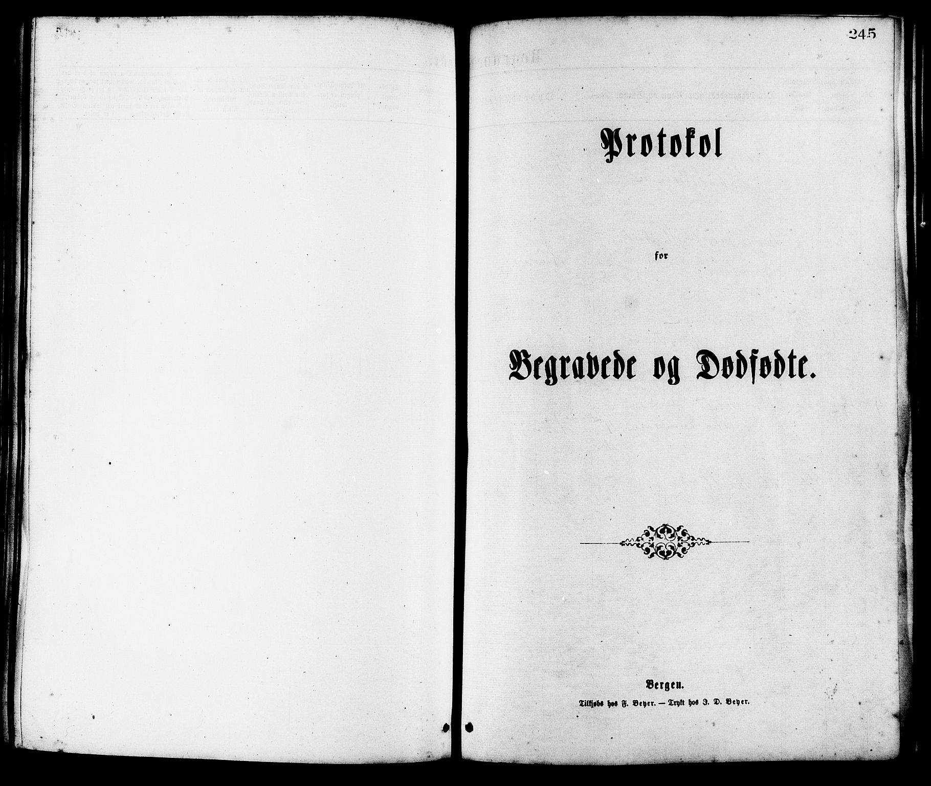 Ministerialprotokoller, klokkerbøker og fødselsregistre - Møre og Romsdal, SAT/A-1454/537/L0519: Parish register (official) no. 537A03, 1876-1889, p. 245