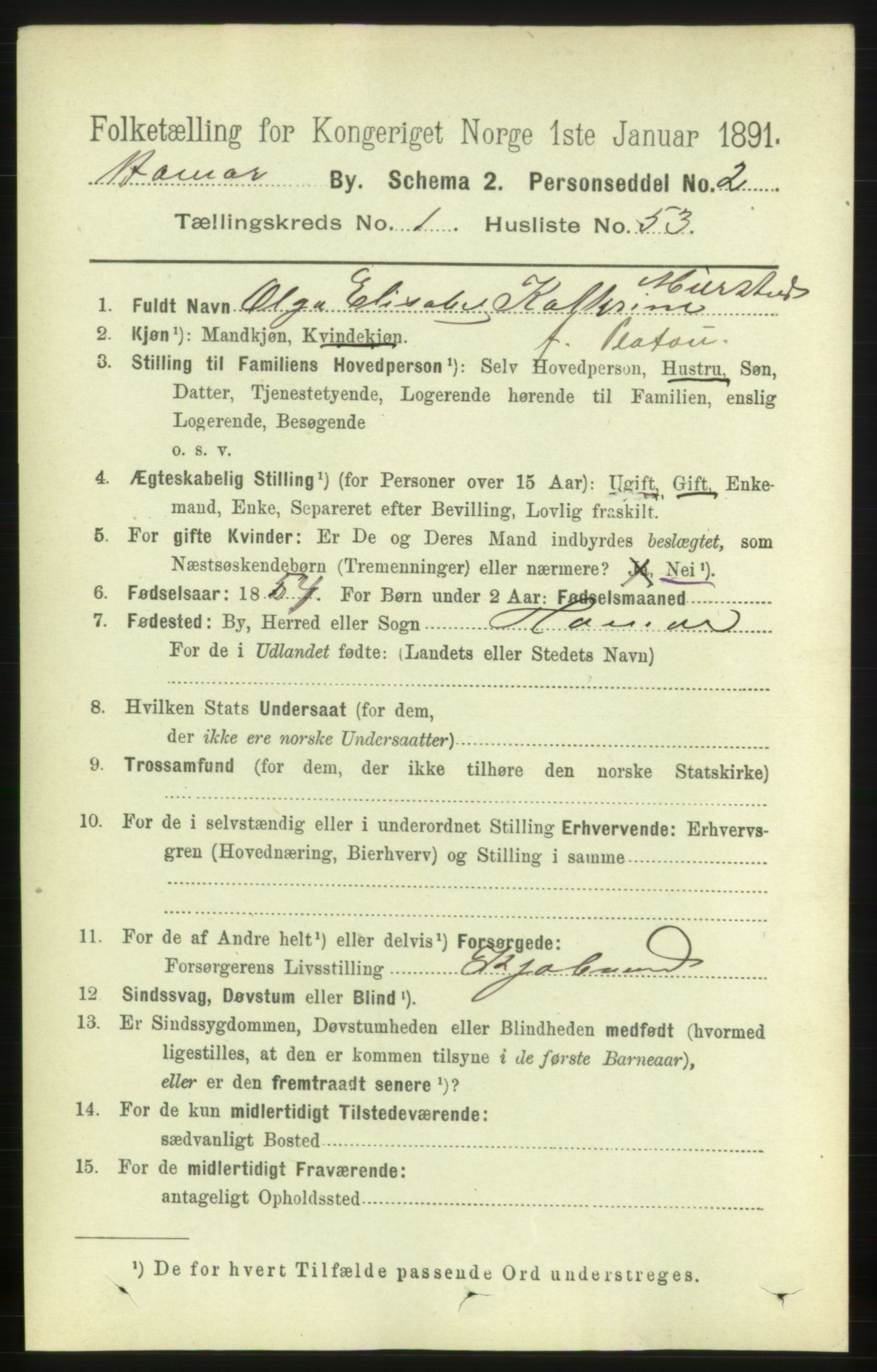 RA, 1891 census for 0401 Hamar, 1891, p. 915