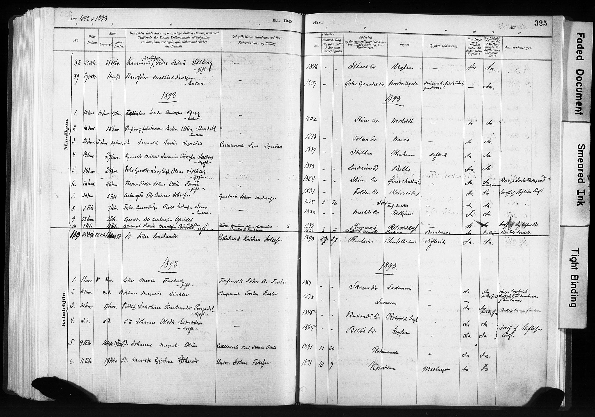 Ministerialprotokoller, klokkerbøker og fødselsregistre - Sør-Trøndelag, AV/SAT-A-1456/606/L0300: Parish register (official) no. 606A15, 1886-1893, p. 325