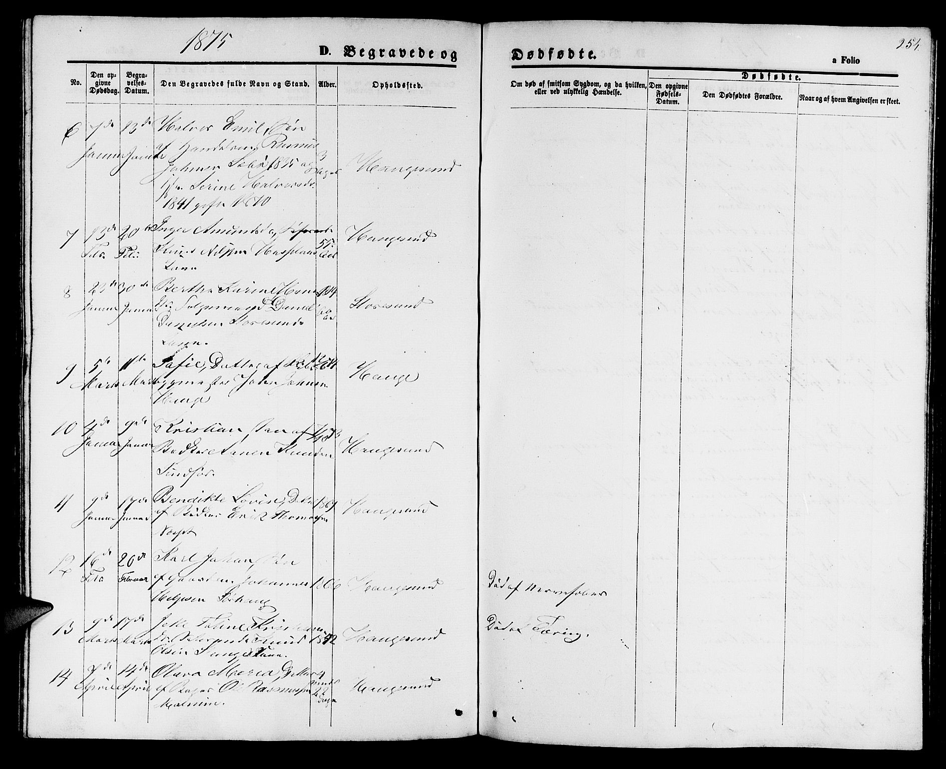 Haugesund sokneprestkontor, AV/SAST-A -101863/H/Ha/Hab/L0001: Parish register (copy) no. B 1, 1873-1881, p. 254