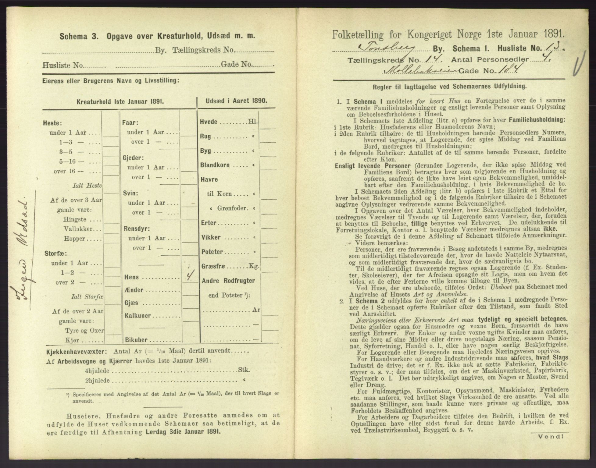 RA, 1891 census for 0705 Tønsberg, 1891, p. 542