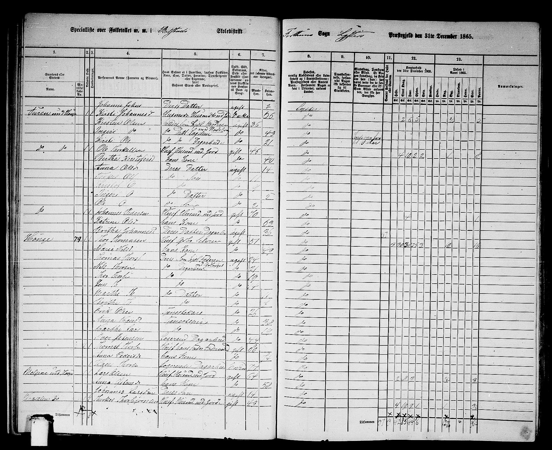 RA, 1865 census for Luster, 1865, p. 18