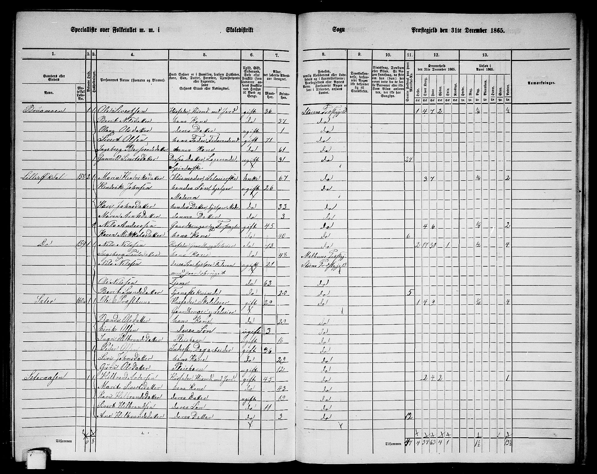 RA, 1865 census for Støren, 1865, p. 291