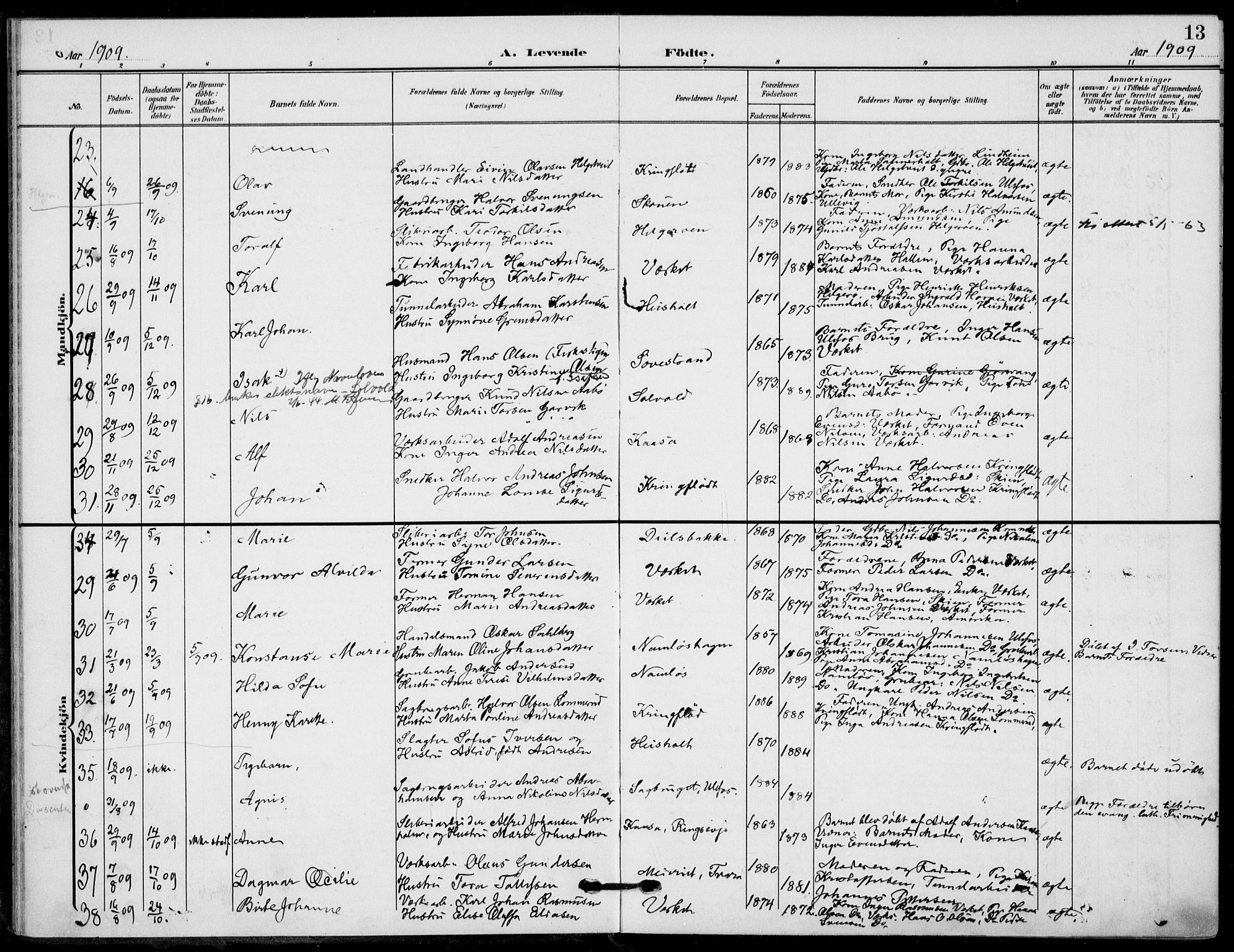 Holla kirkebøker, AV/SAKO-A-272/F/Fa/L0012: Parish register (official) no. 12, 1907-1923, p. 13