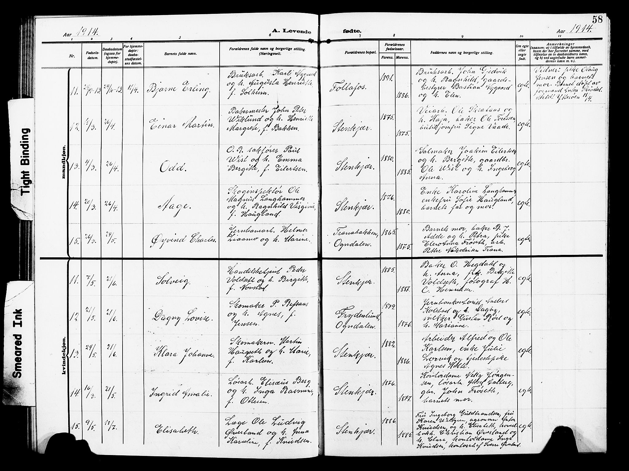 Ministerialprotokoller, klokkerbøker og fødselsregistre - Nord-Trøndelag, AV/SAT-A-1458/739/L0376: Parish register (copy) no. 739C04, 1908-1917, p. 58