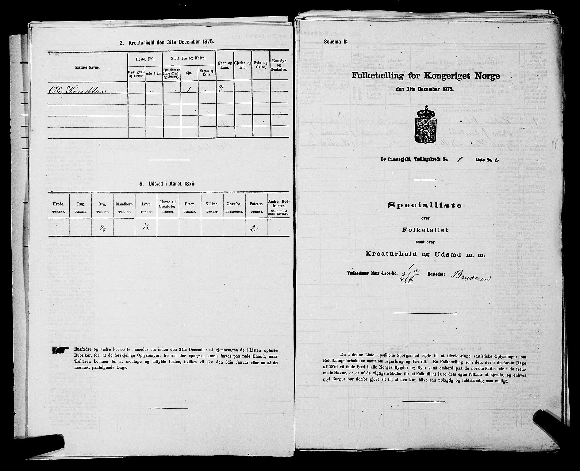 SAKO, 1875 census for 0821P Bø, 1875, p. 49