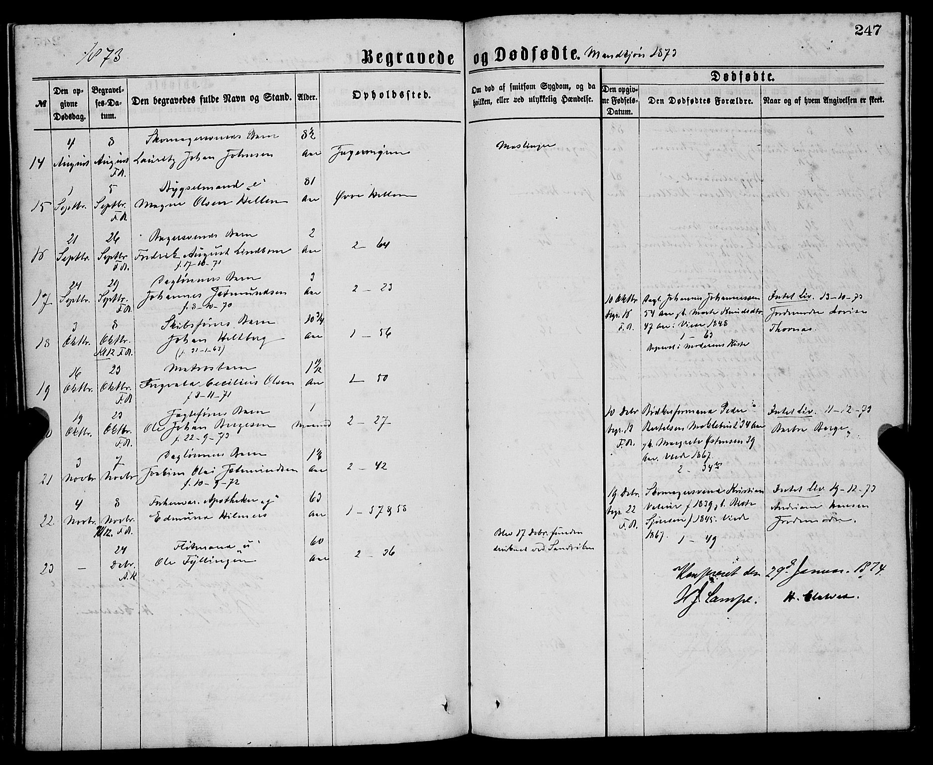 Sandviken Sokneprestembete, SAB/A-77601/H/Ha/L0001: Parish register (official) no. A 1, 1867-1877, p. 247