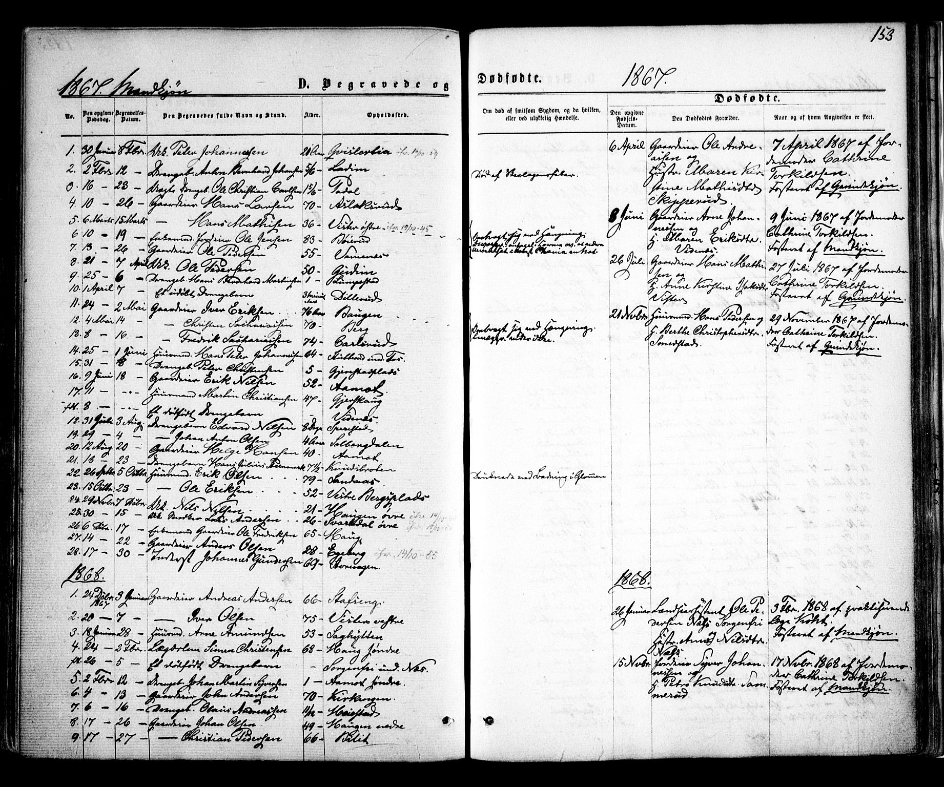 Skiptvet prestekontor Kirkebøker, SAO/A-20009/F/Fa/L0008: Parish register (official) no. 8, 1867-1877, p. 153