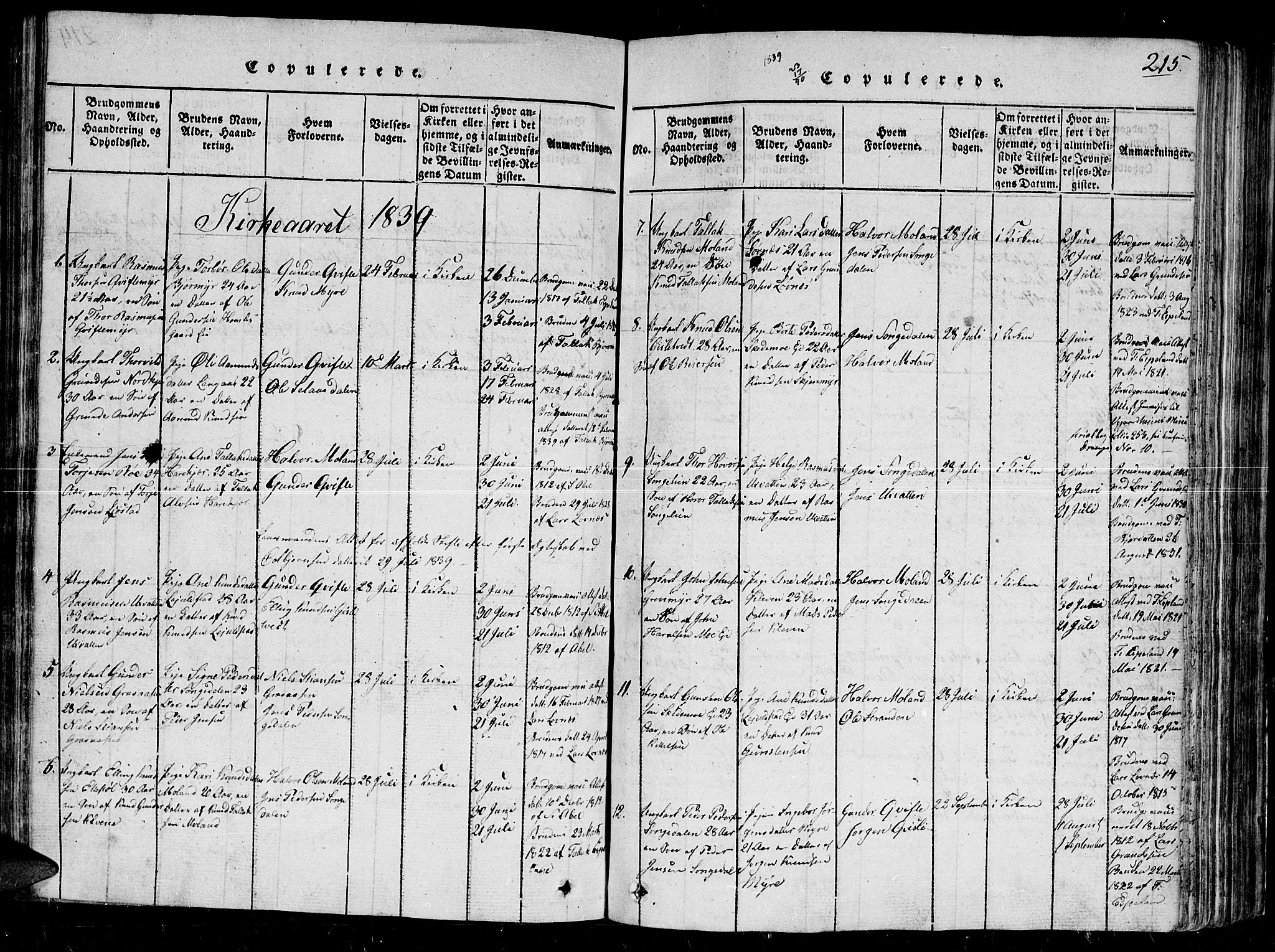 Gjerstad sokneprestkontor, SAK/1111-0014/F/Fb/Fbb/L0001: Parish register (copy) no. B 1, 1813-1863, p. 215