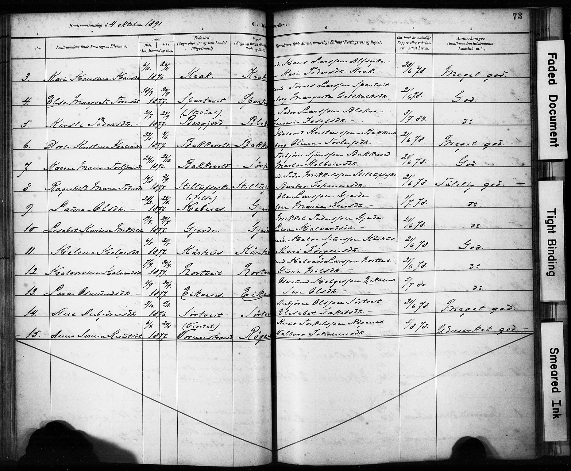 Skjold sokneprestkontor, AV/SAST-A-101847/H/Ha/Haa/L0009: Parish register (official) no. A 9, 1882-1898, p. 73