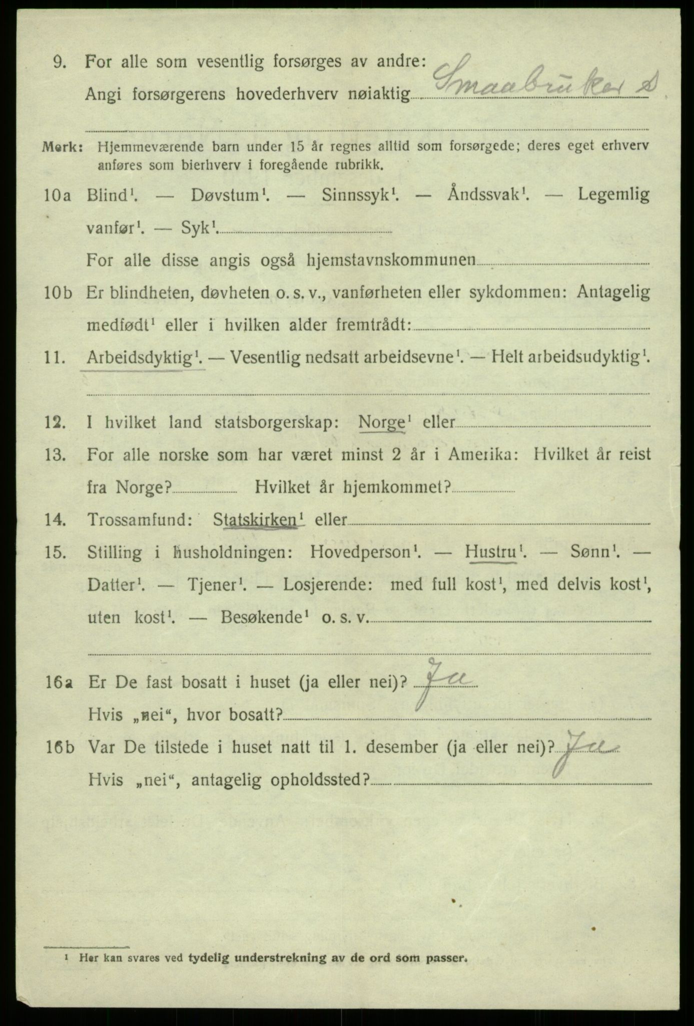 SAB, 1920 census for Hålandsdal, 1920, p. 1019