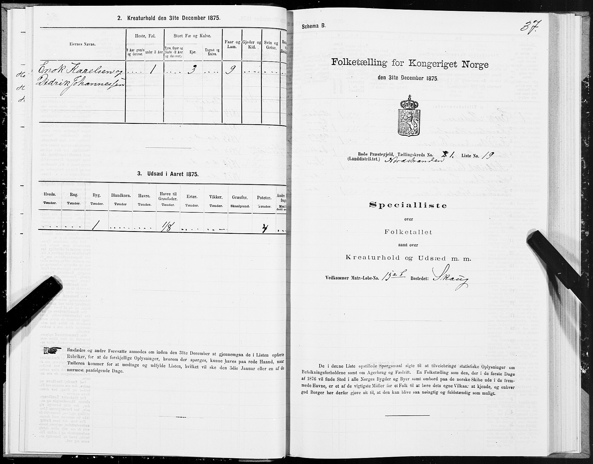 SAT, 1875 census for 1843L Bodø/Bodø, 1875, p. 1037