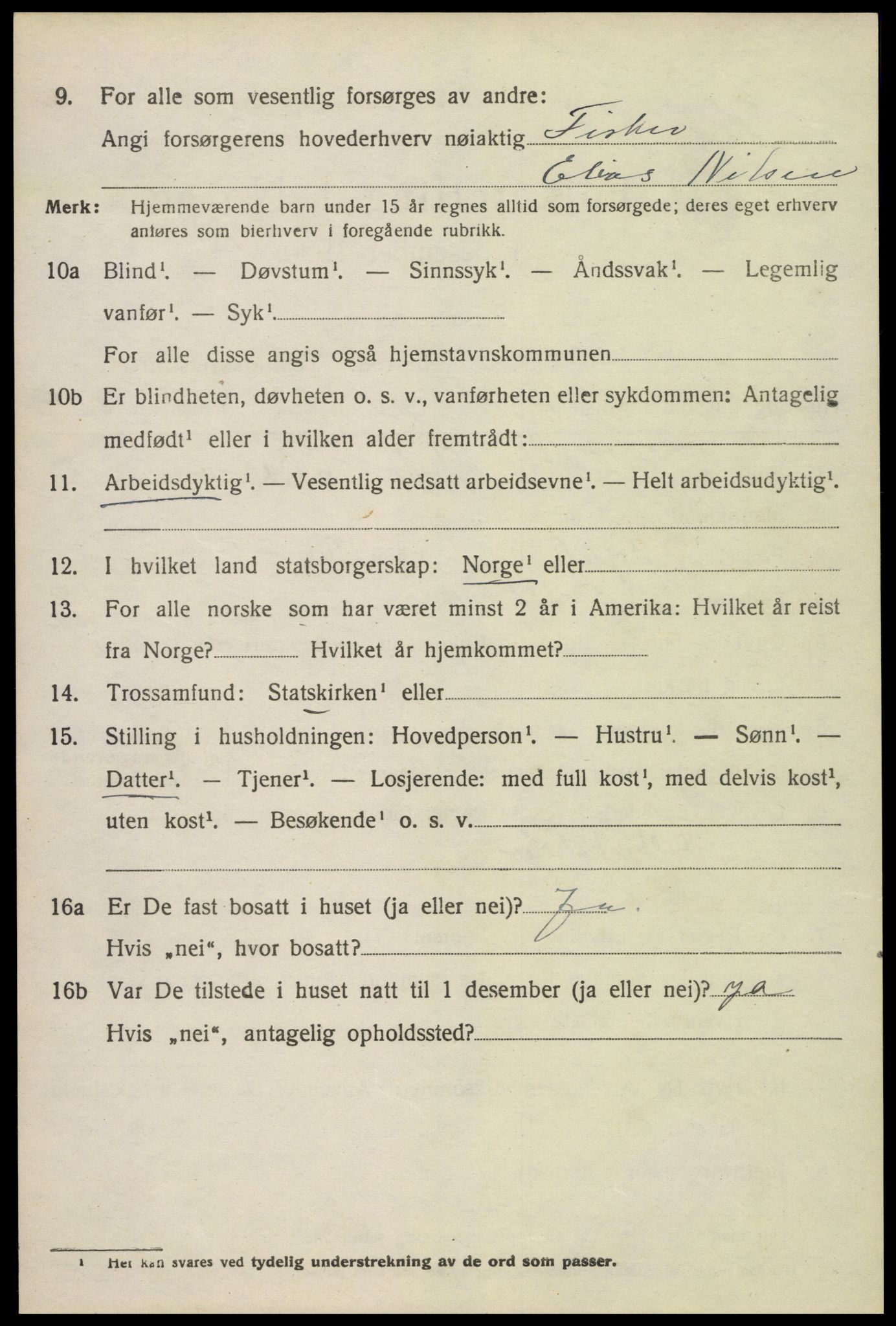 SAKO, 1920 census for Fredriksvern, 1920, p. 596