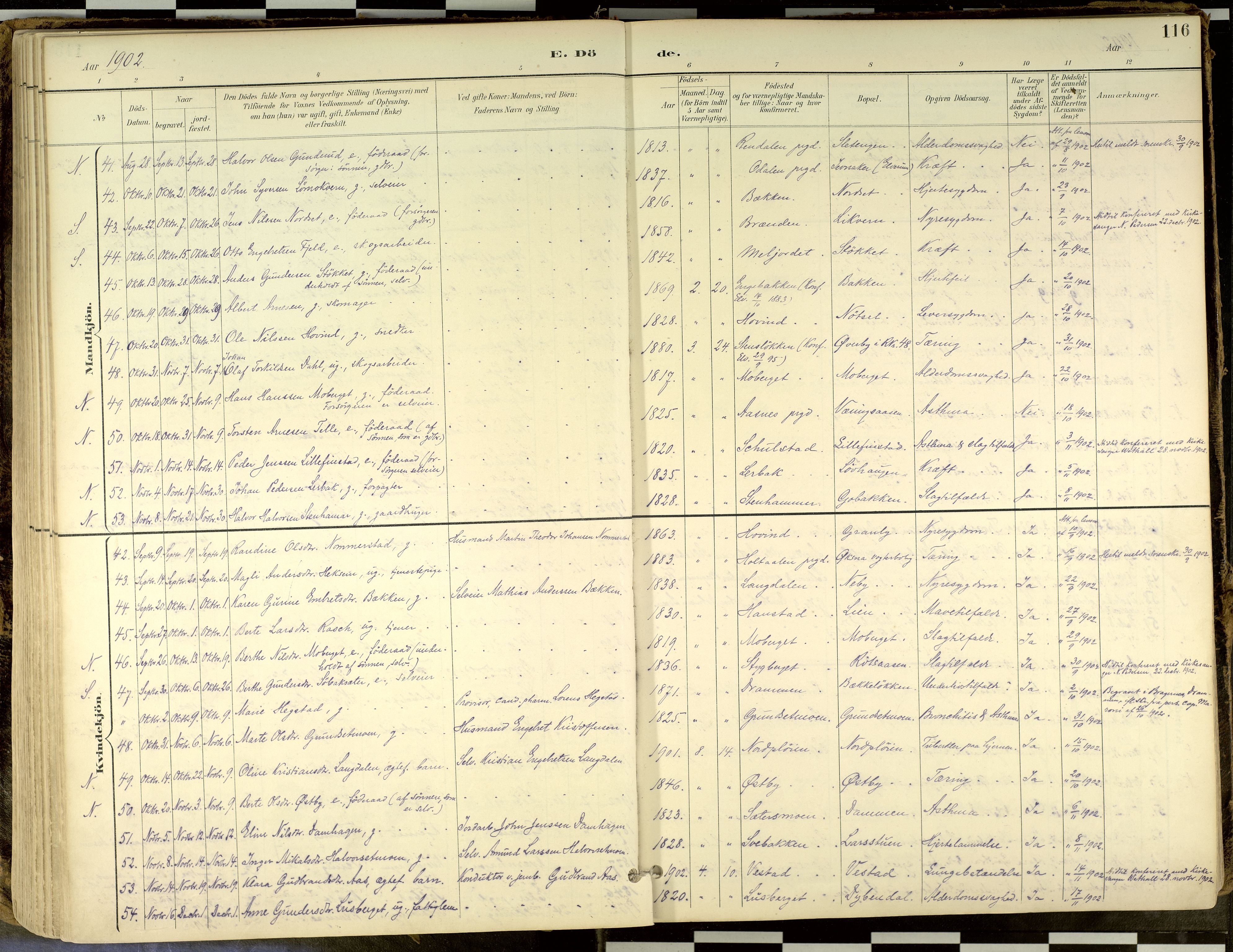 Elverum prestekontor, SAH/PREST-044/H/Ha/Haa/L0018: Parish register (official) no. 18, 1894-1914, p. 116