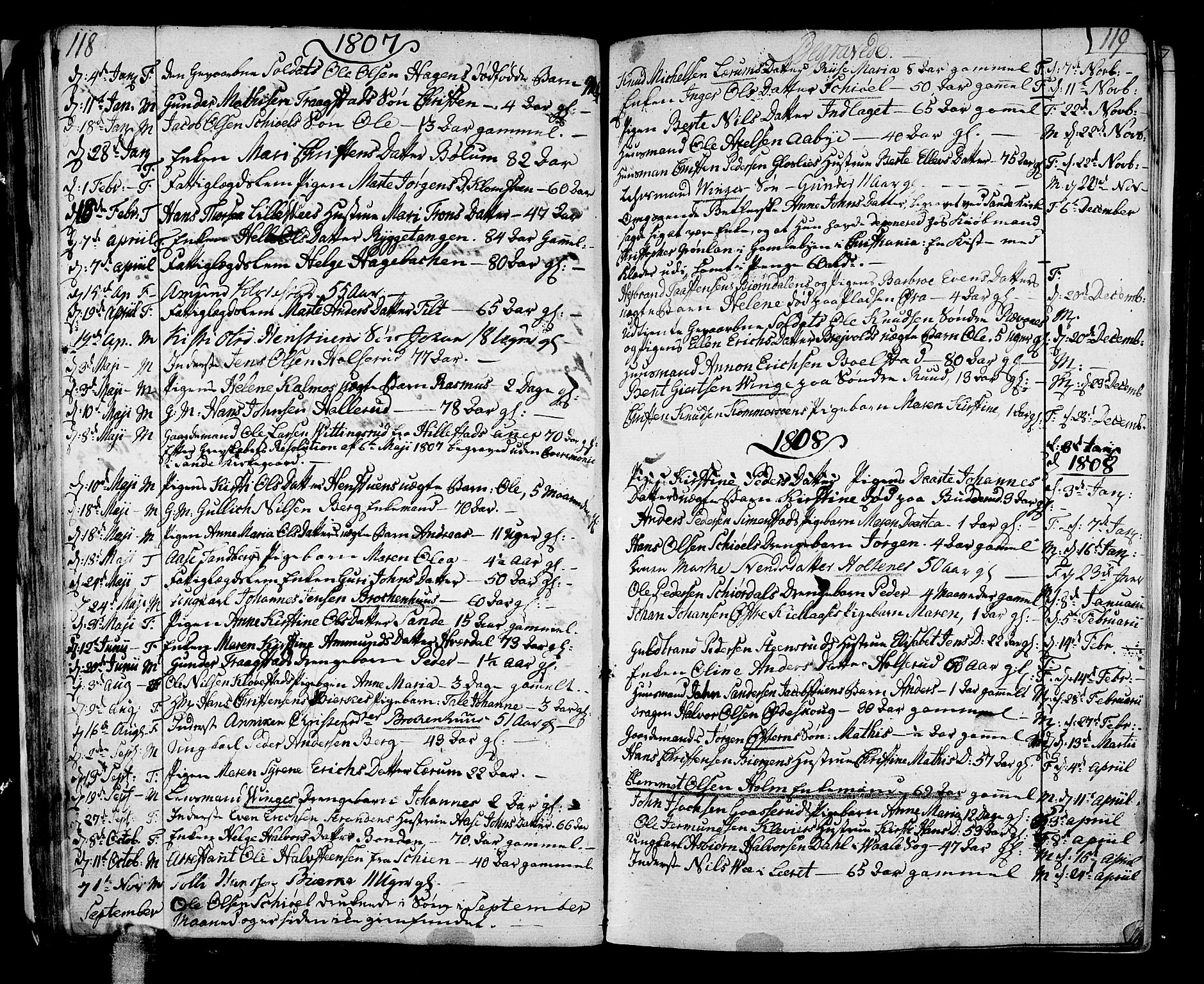Sande Kirkebøker, SAKO/A-53/F/Fa/L0002: Parish register (official) no. 2, 1804-1814, p. 118-119