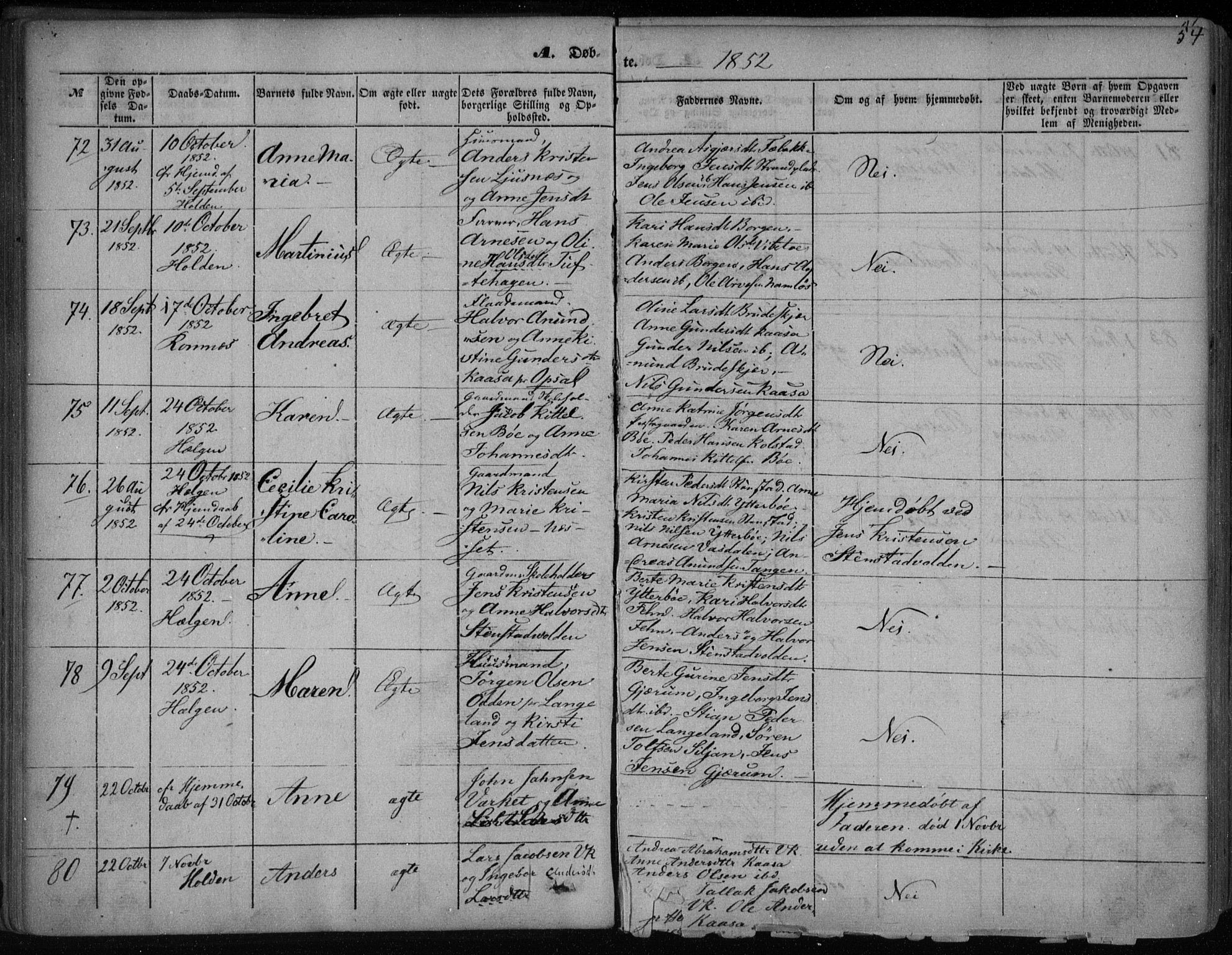 Holla kirkebøker, AV/SAKO-A-272/F/Fa/L0005: Parish register (official) no. 5, 1849-1860, p. 54