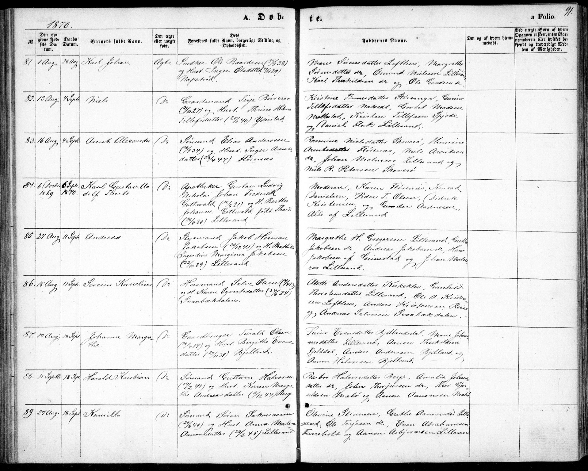 Vestre Moland sokneprestkontor, AV/SAK-1111-0046/F/Fb/Fbb/L0004: Parish register (copy) no. B 4, 1861-1872, p. 91