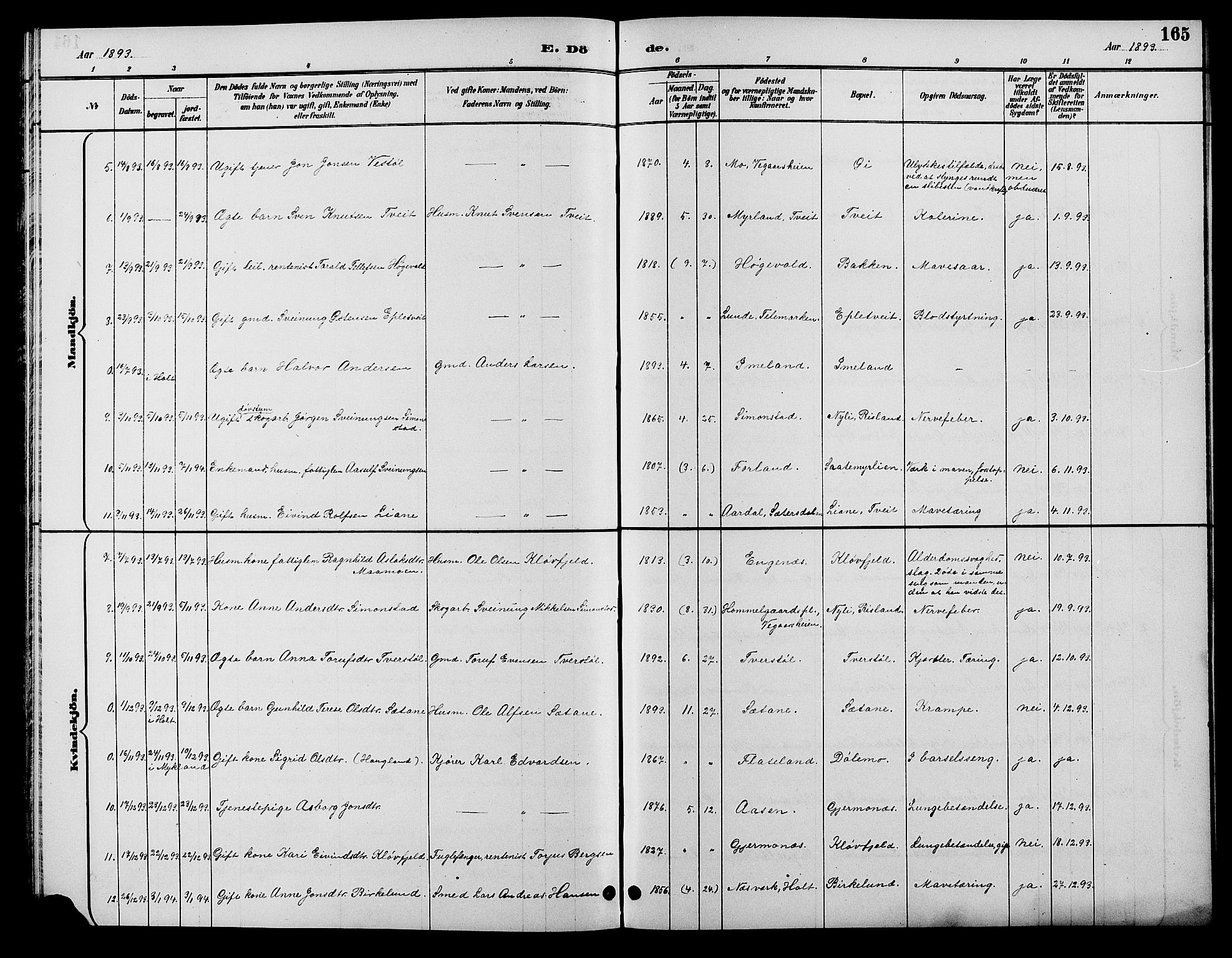 Åmli sokneprestkontor, SAK/1111-0050/F/Fb/Fbc/L0004: Parish register (copy) no. B 4, 1889-1902, p. 165