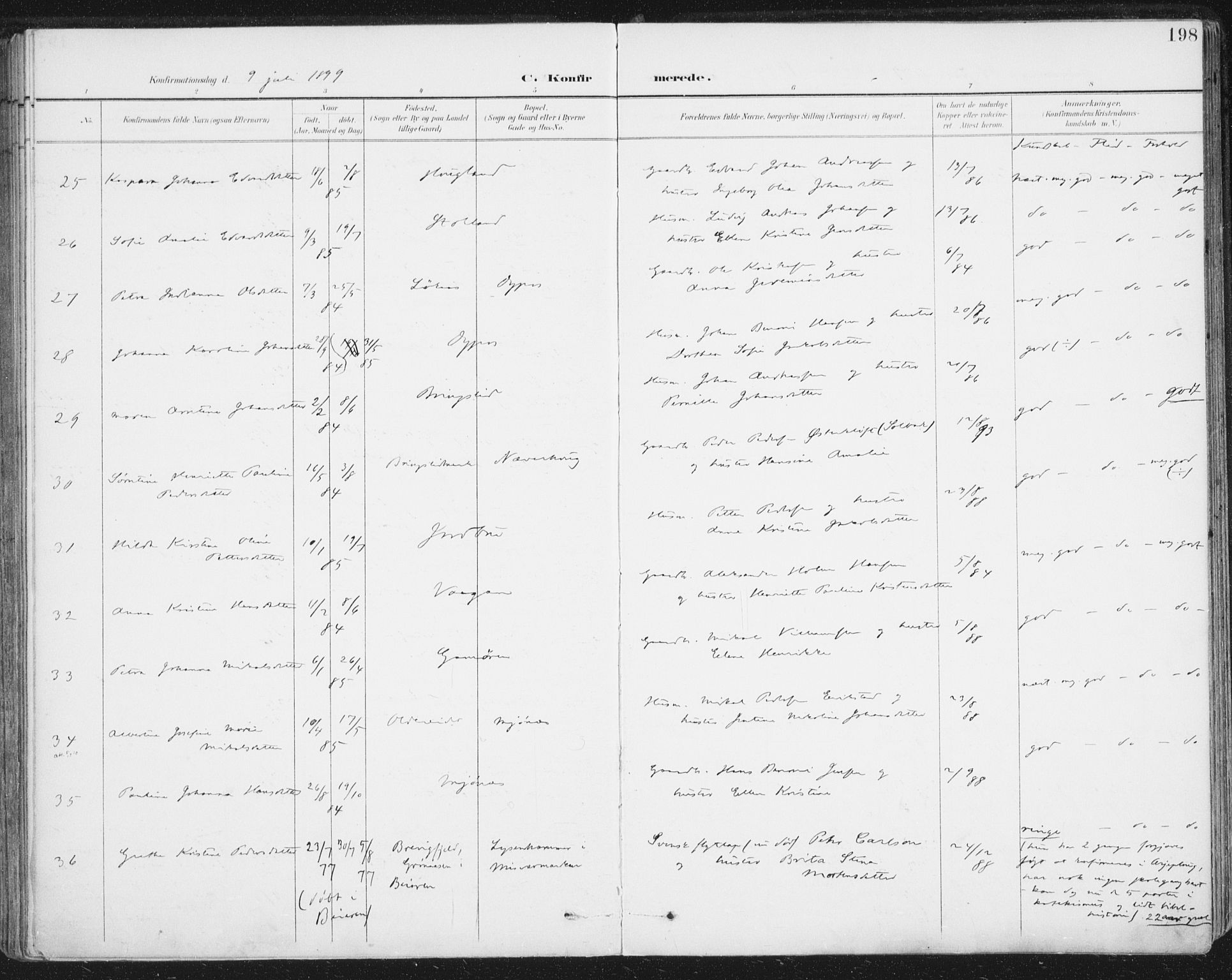 Ministerialprotokoller, klokkerbøker og fødselsregistre - Nordland, AV/SAT-A-1459/852/L0741: Parish register (official) no. 852A11, 1894-1917, p. 198