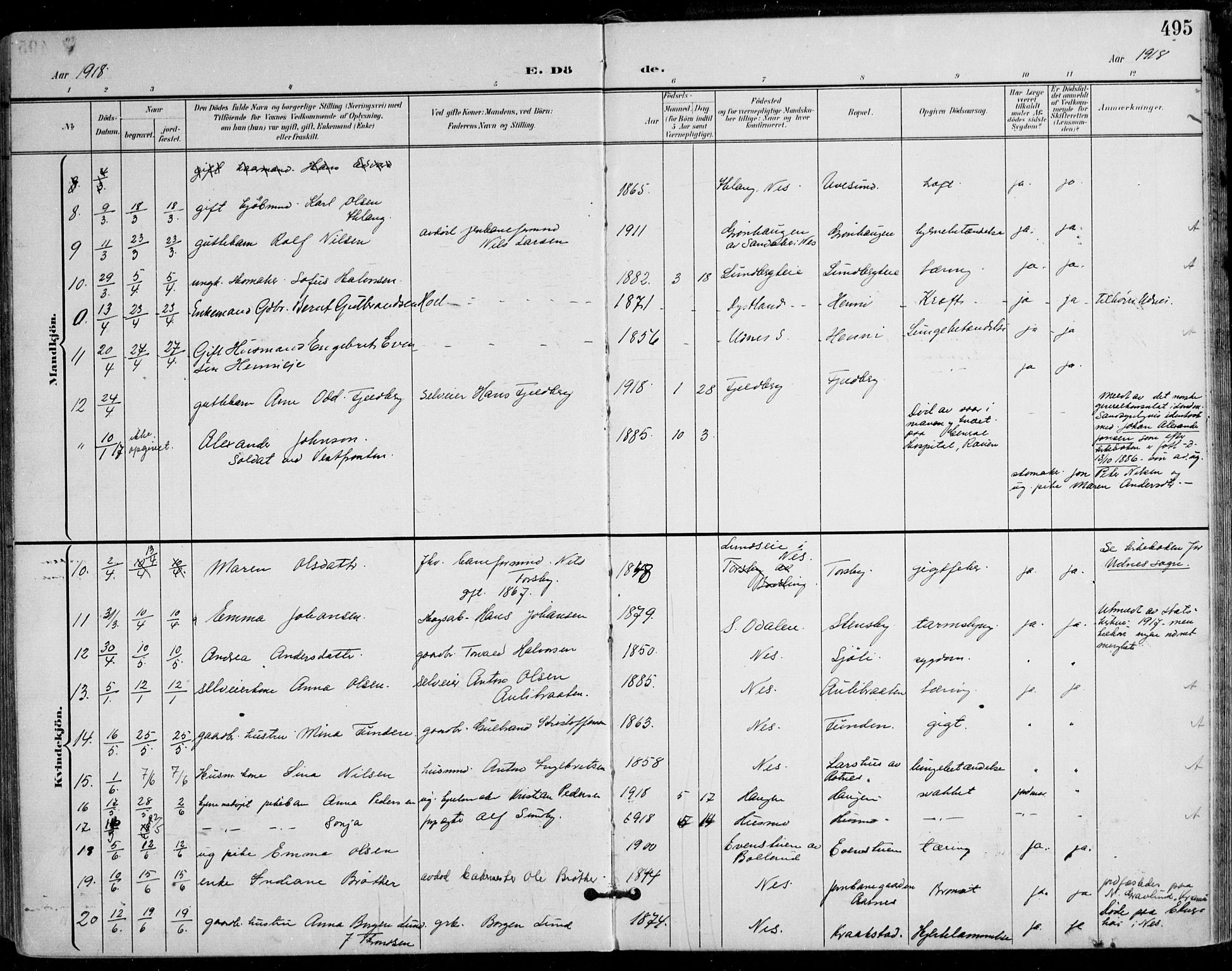 Nes prestekontor Kirkebøker, SAO/A-10410/F/Fa/L0011: Parish register (official) no. I 11, 1899-1918, p. 495