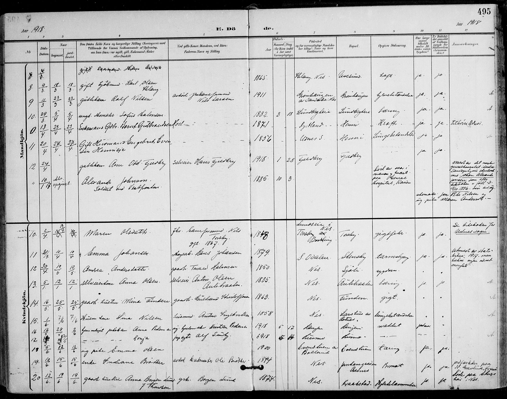 Nes prestekontor Kirkebøker, AV/SAO-A-10410/F/Fa/L0011: Parish register (official) no. I 11, 1899-1918, p. 495