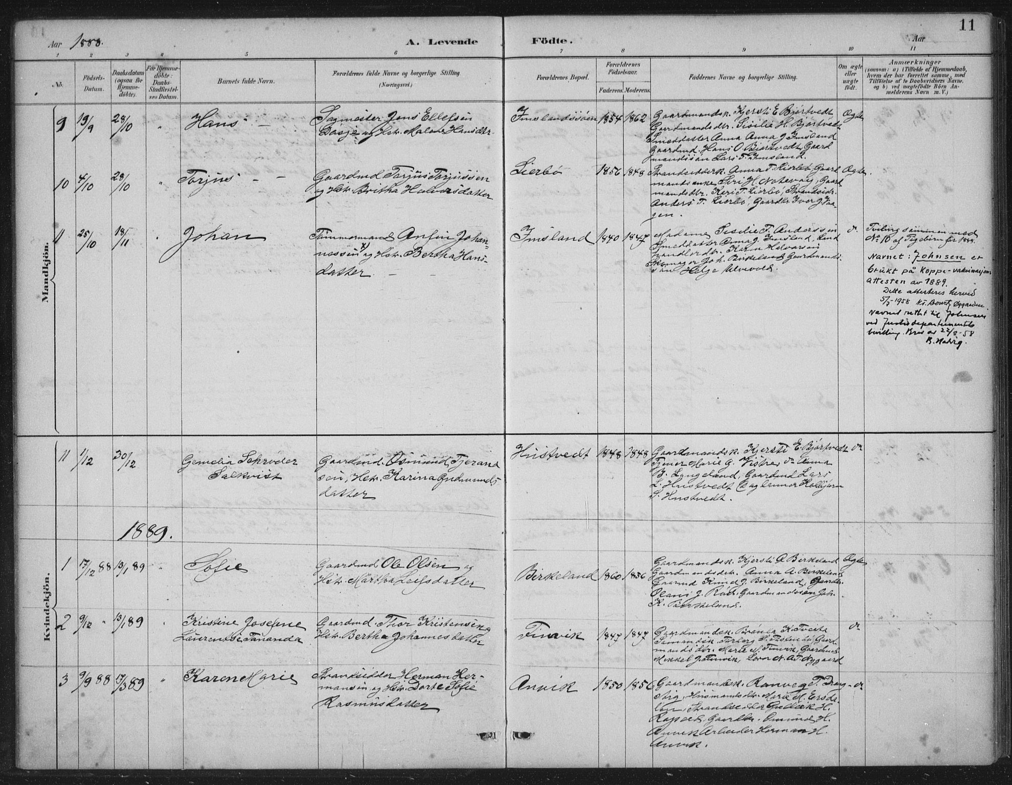 Vikedal sokneprestkontor, AV/SAST-A-101840/01/IV: Parish register (official) no. A 12, 1886-1929, p. 11