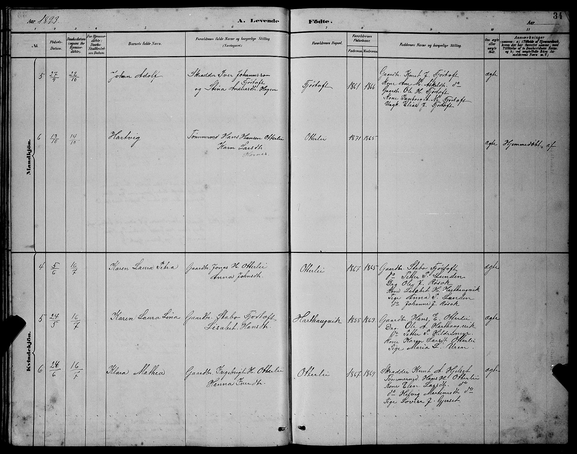 Ministerialprotokoller, klokkerbøker og fødselsregistre - Møre og Romsdal, AV/SAT-A-1454/538/L0523: Parish register (copy) no. 538C01, 1881-1900, p. 34