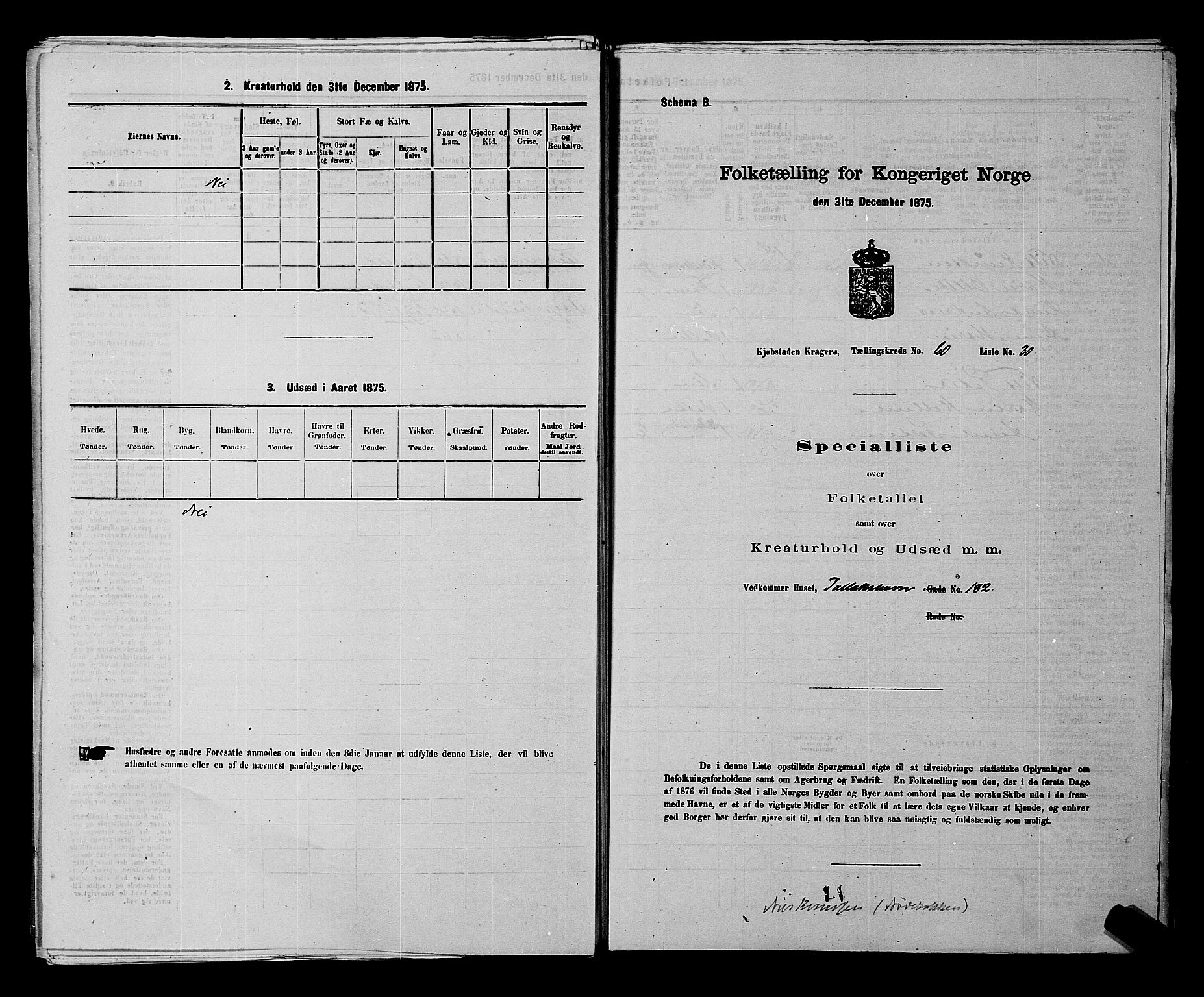 SAKO, 1875 census for 0801P Kragerø, 1875, p. 1389