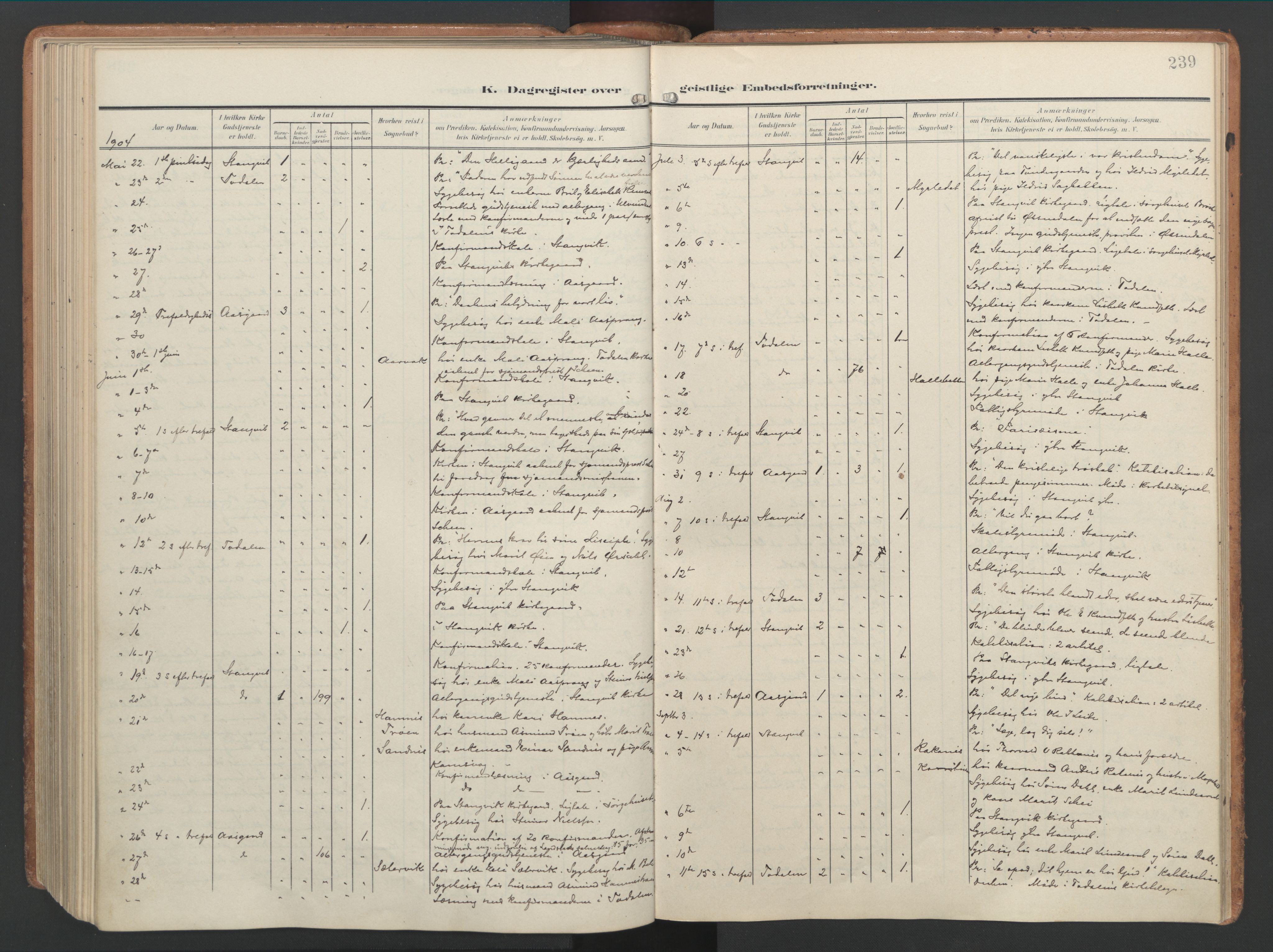 Ministerialprotokoller, klokkerbøker og fødselsregistre - Møre og Romsdal, AV/SAT-A-1454/592/L1030: Parish register (official) no. 592A08, 1901-1925, p. 239