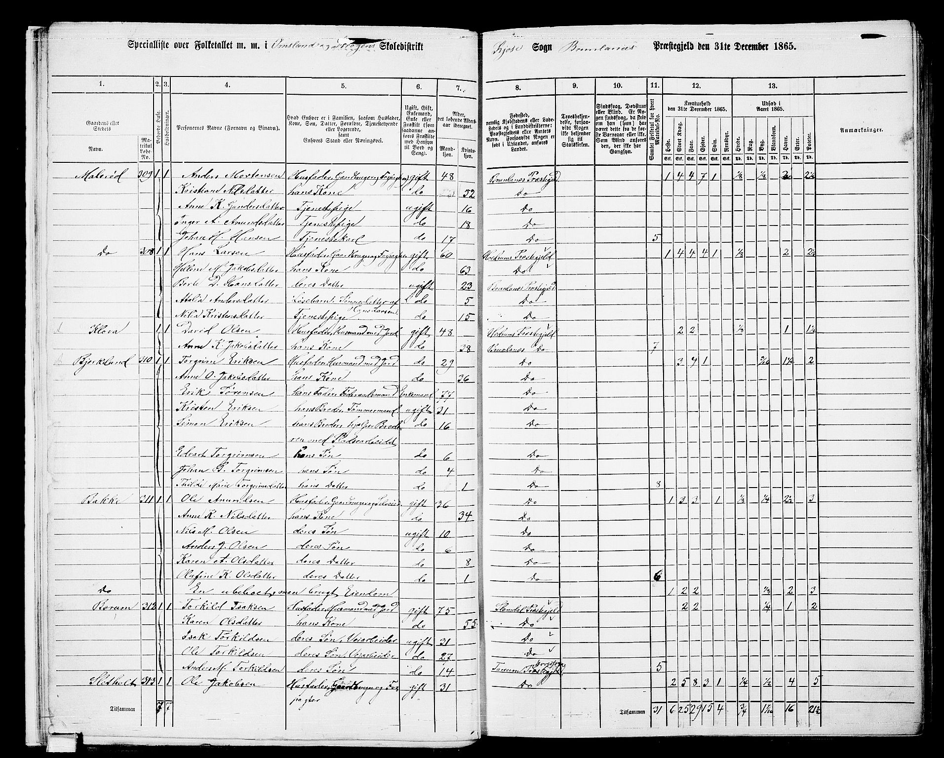 RA, 1865 census for Brunlanes, 1865, p. 16