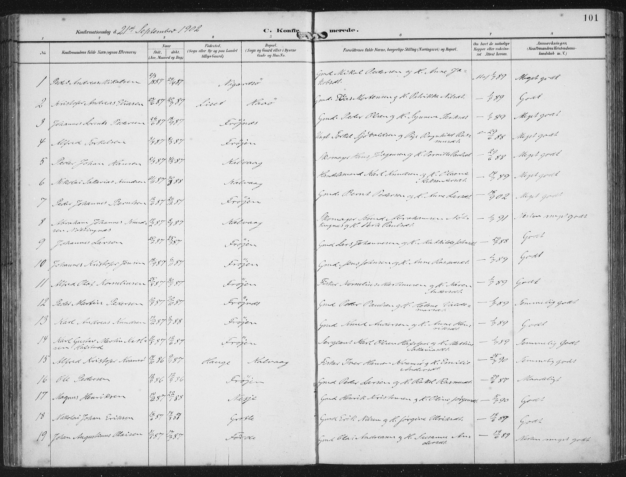 Bremanger sokneprestembete, SAB/A-82201/H/Haa/Haab/L0002: Parish register (official) no. B  2, 1896-1908, p. 101