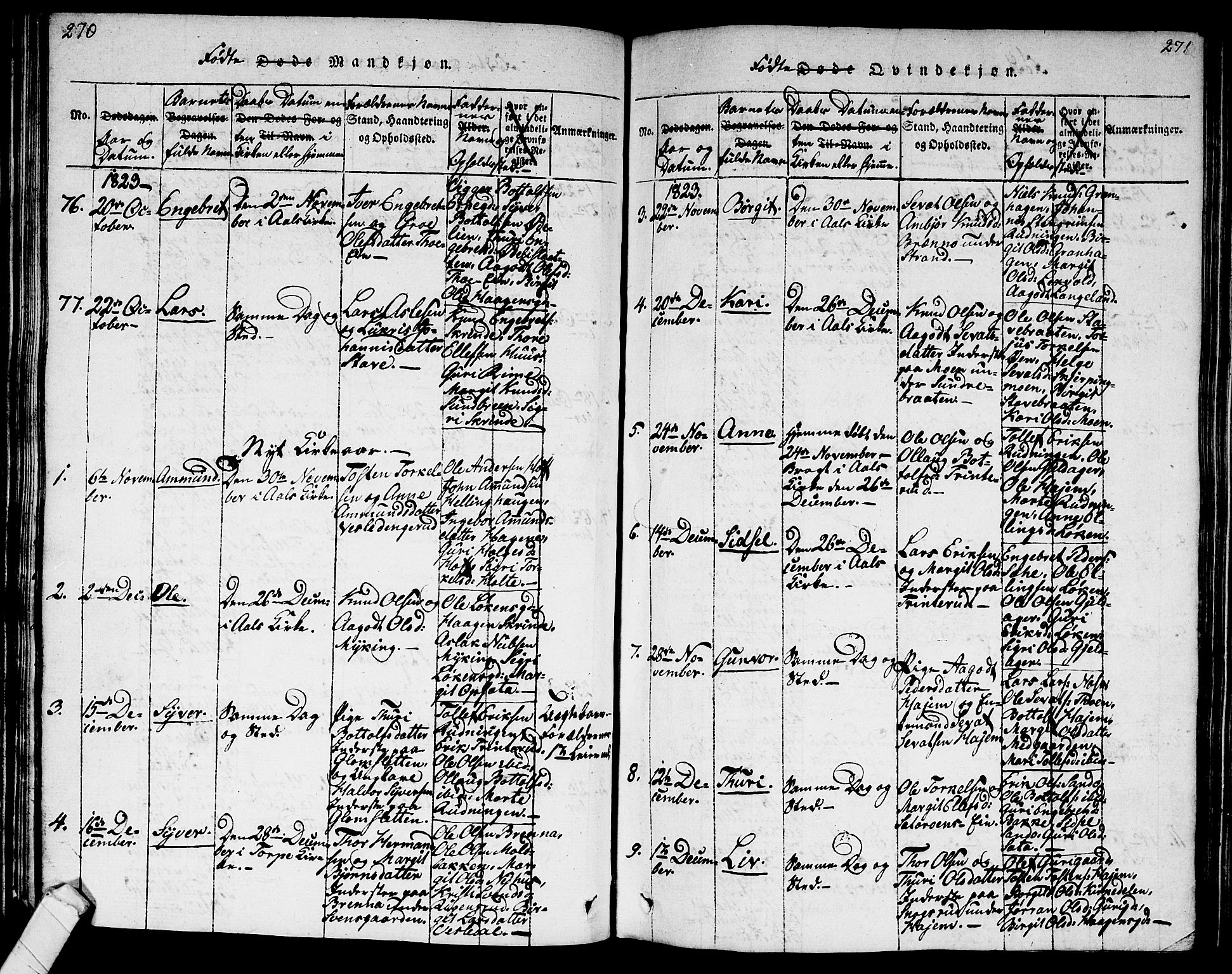 Ål kirkebøker, AV/SAKO-A-249/G/Ga/L0001: Parish register (copy) no. 1, 1815-1829, p. 270-271